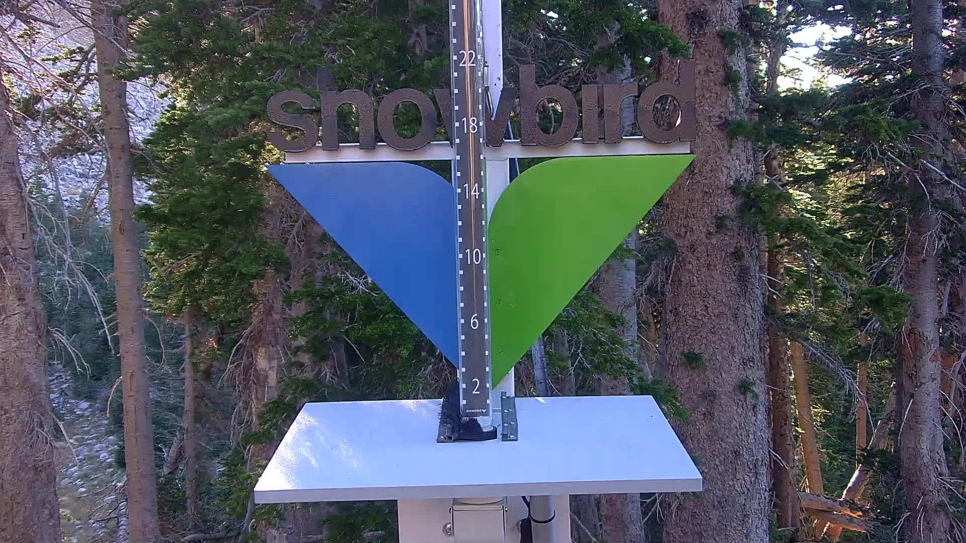 Snowbird snow stake cam
