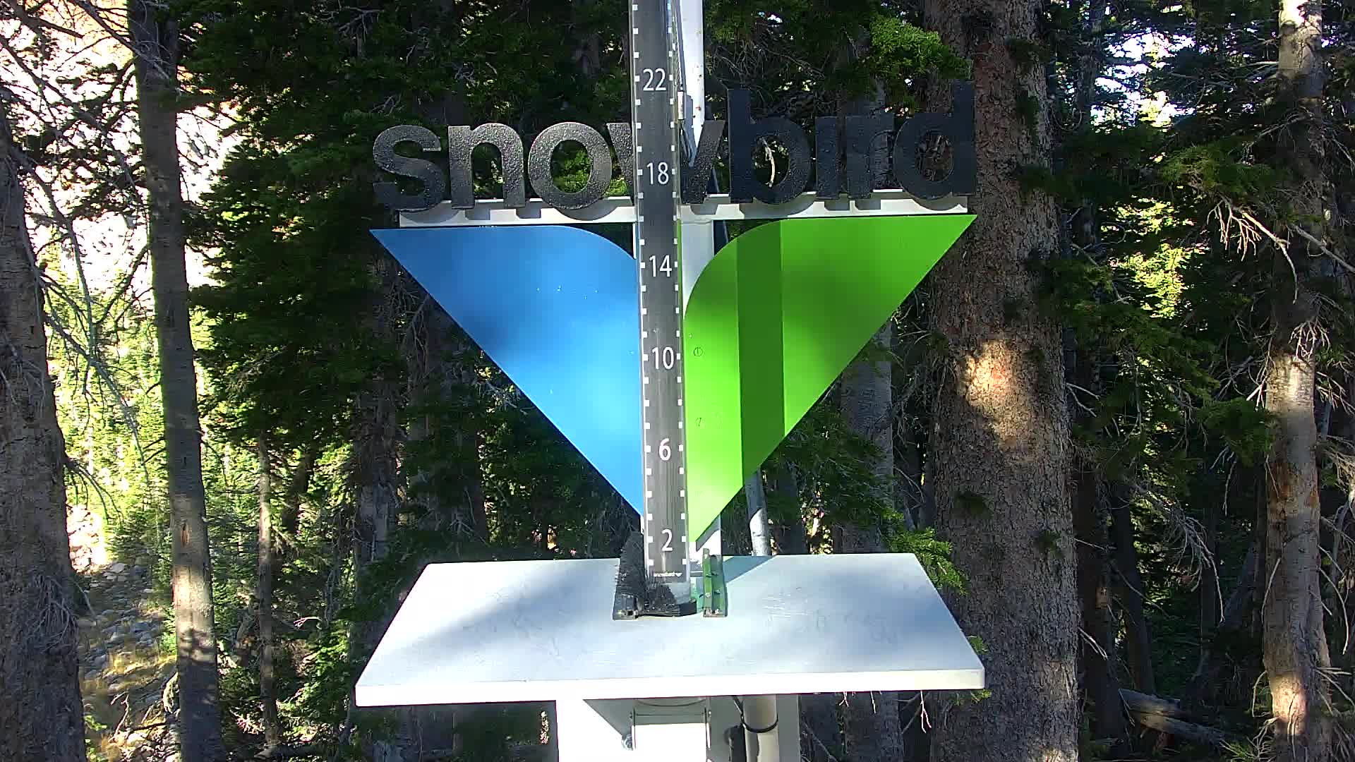 Snowbird snow stake cam