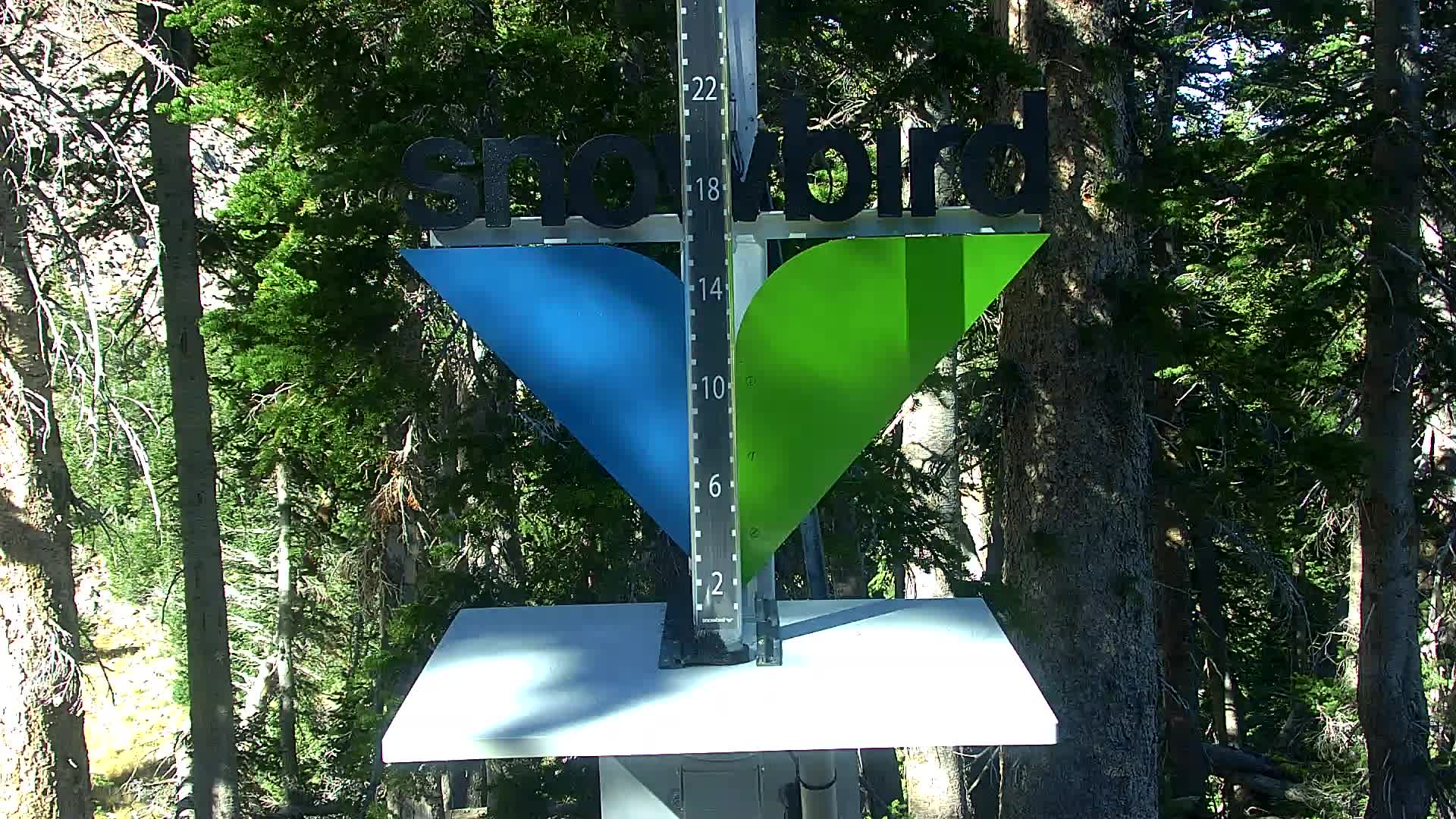 Snowbird snow stake cam
