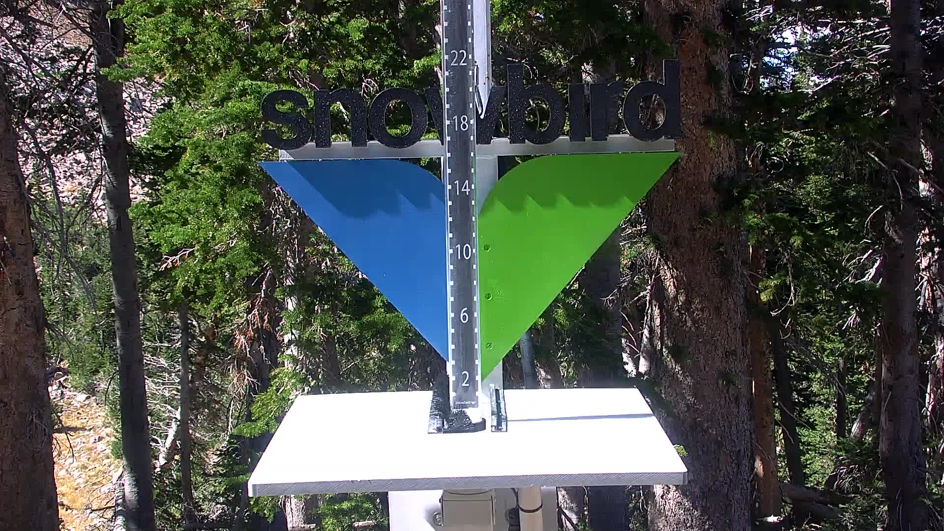 Snowbird snow stake cam