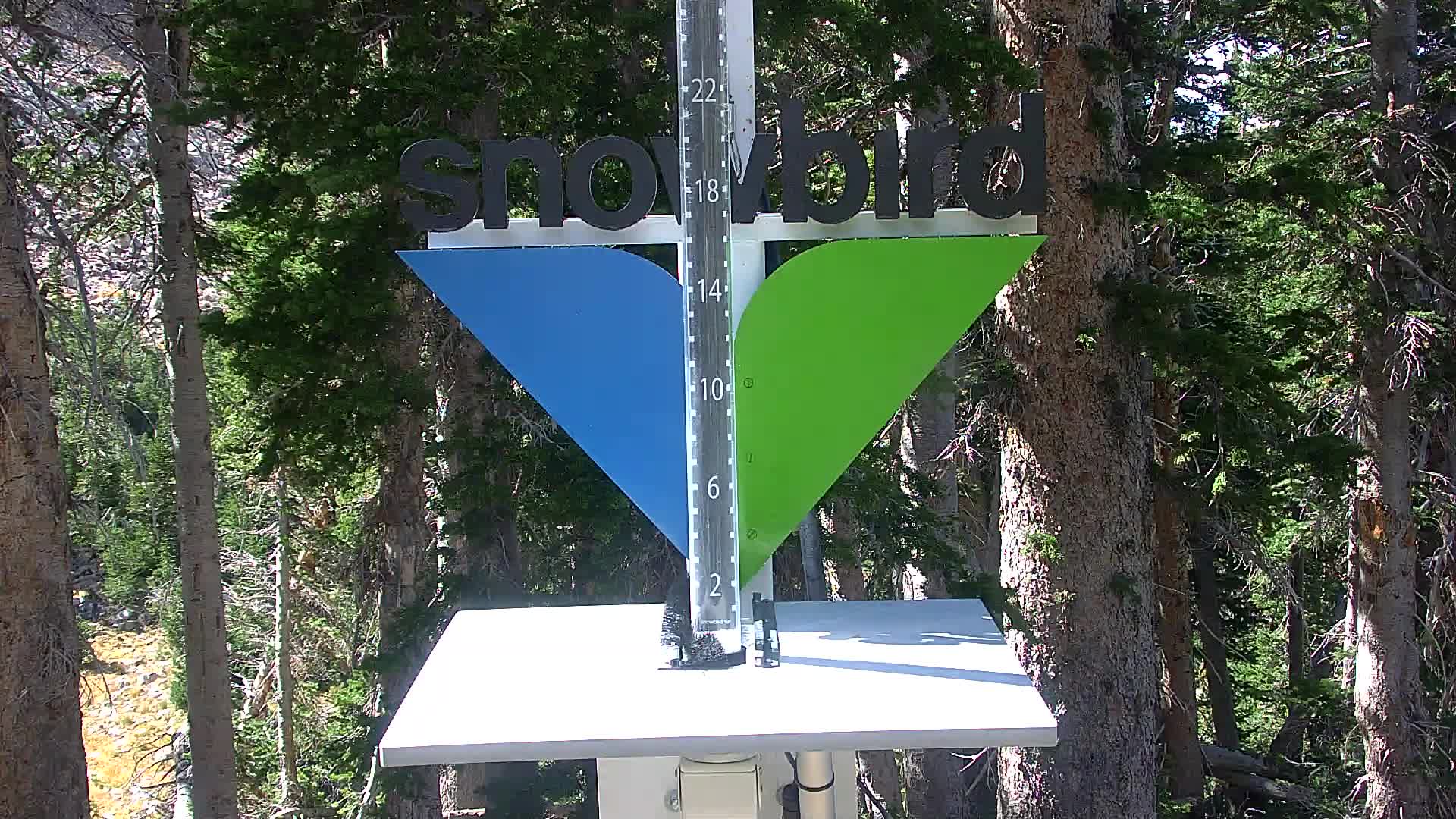 Snowbird snow stake cam