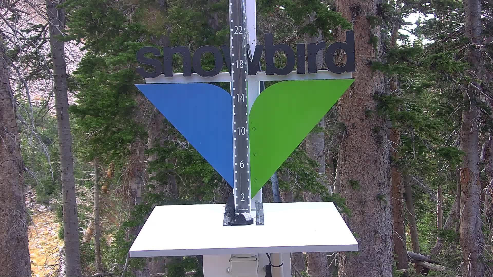 Snowbird snow stake cam