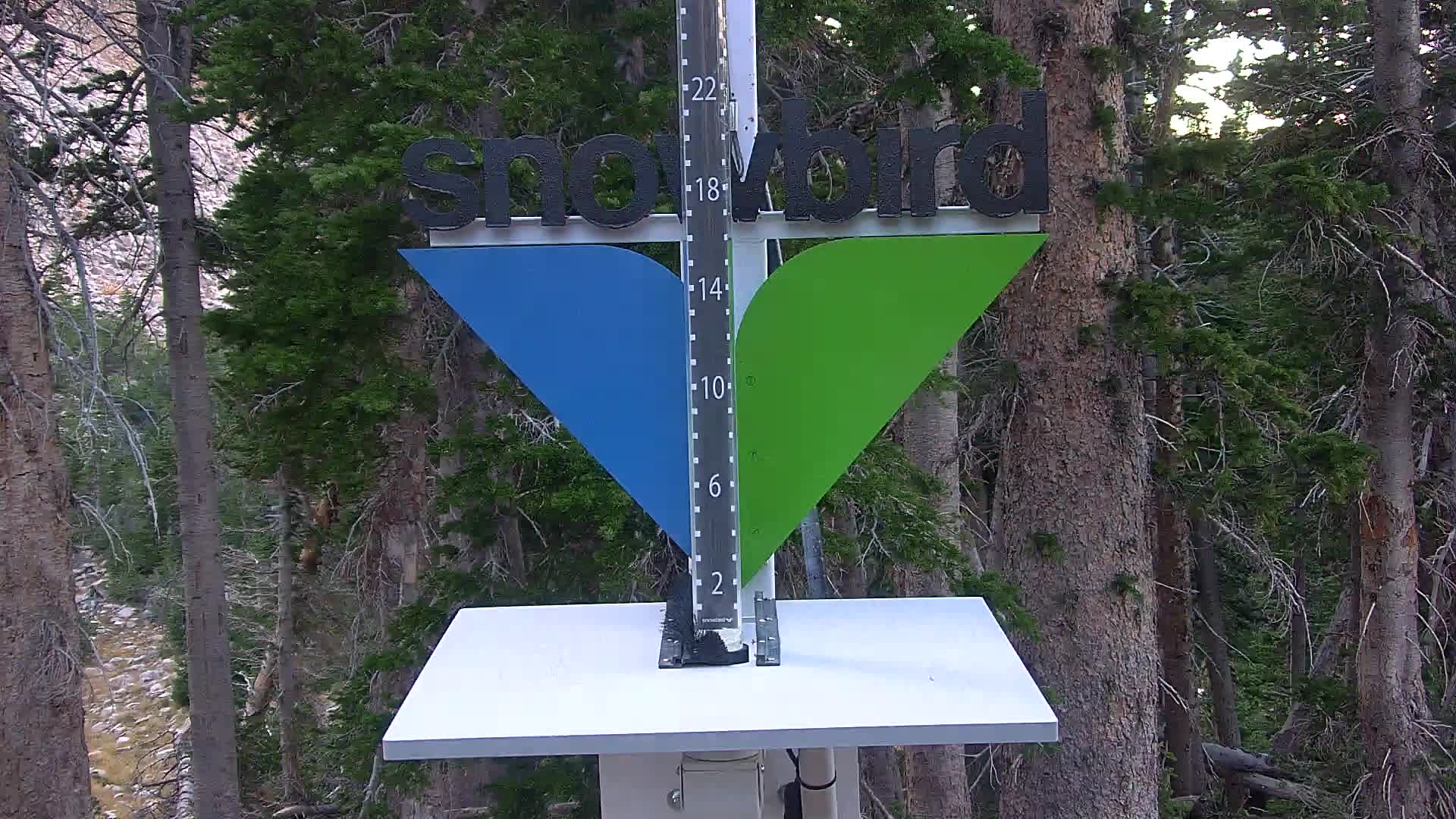 Snowbird snow stake cam