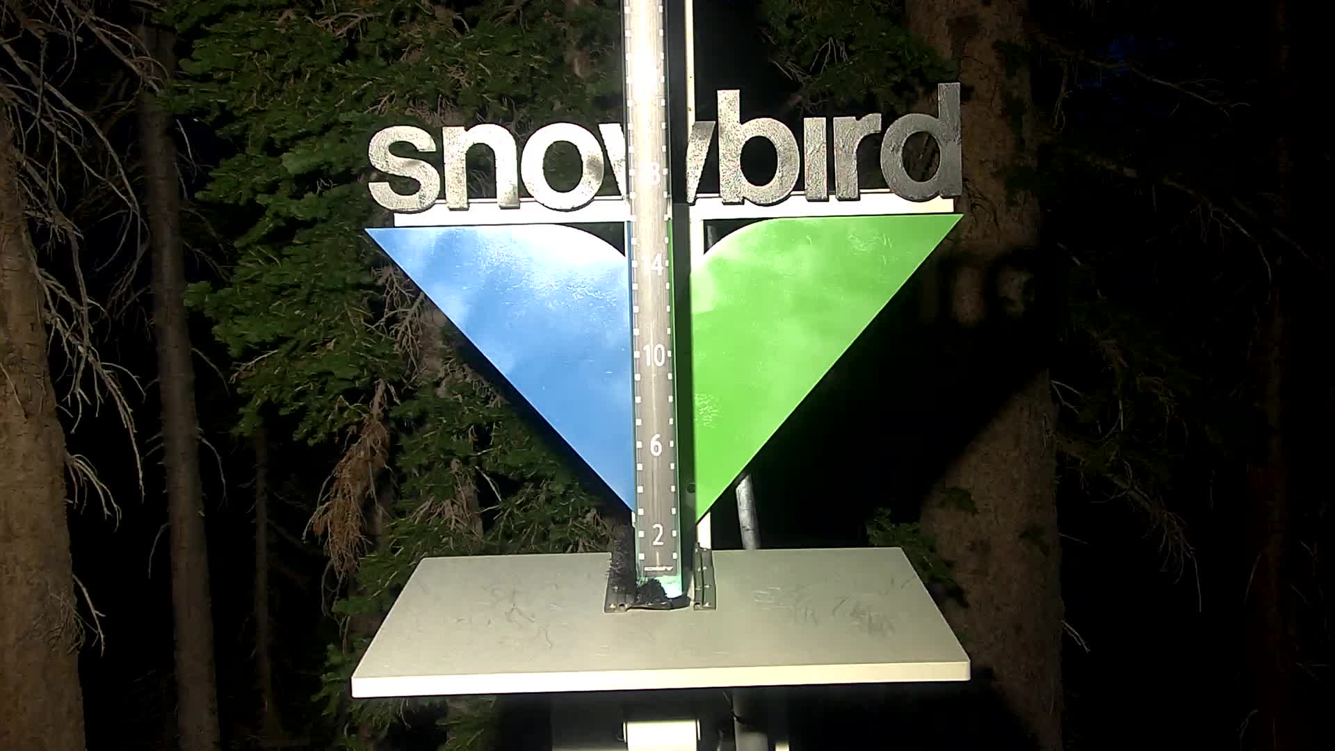 Snowbird snow stake cam