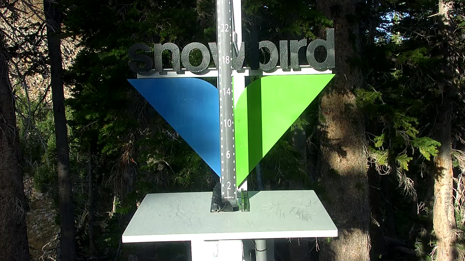Snowbird snow stake cam