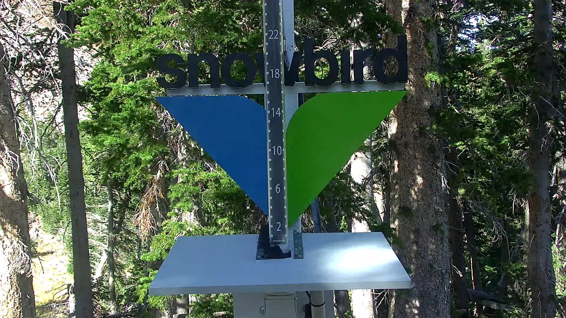 Snowbird snow stake cam