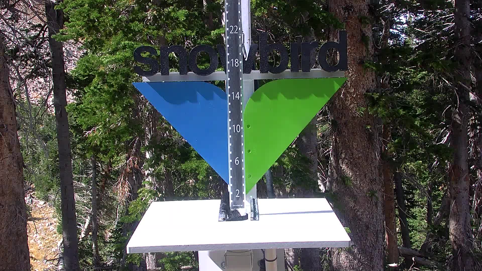 Snowbird snow stake cam