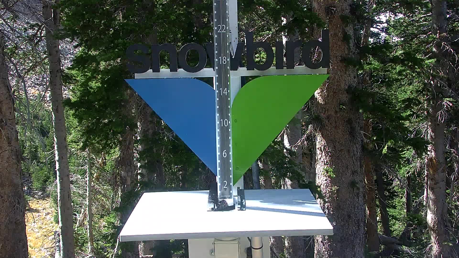 Snowbird snow stake cam