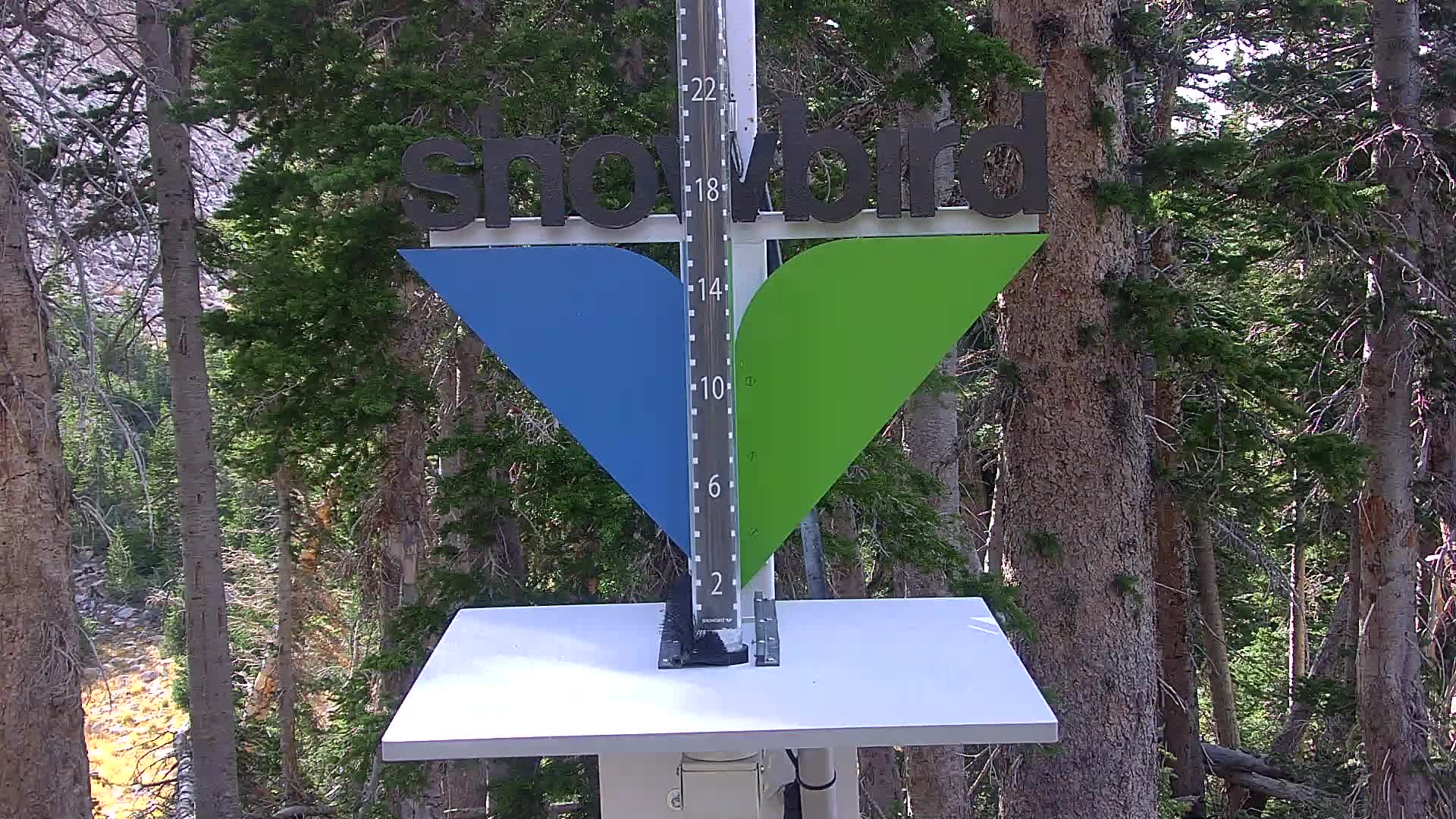 Snowbird snow stake cam