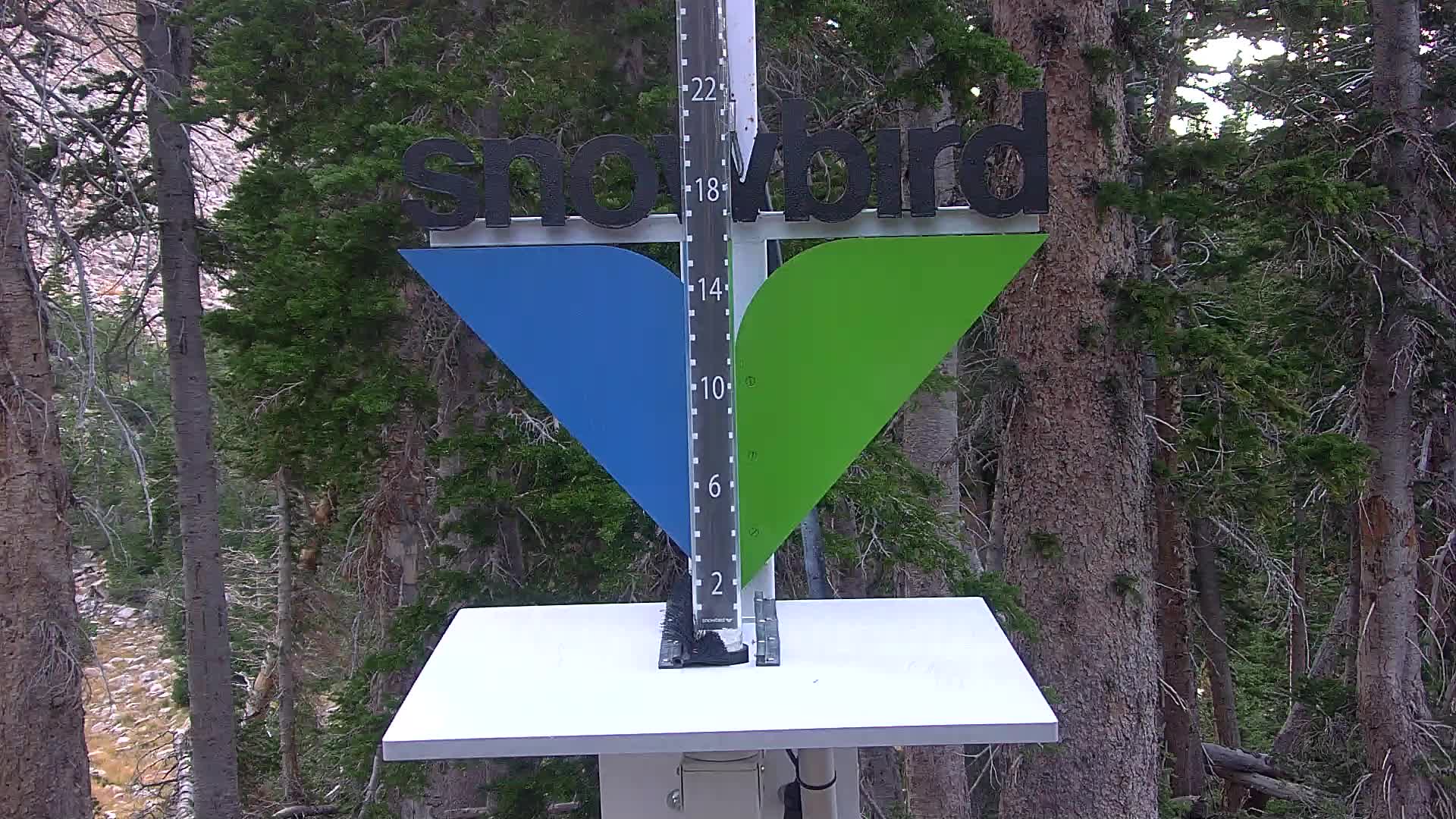 Snowbird snow stake cam