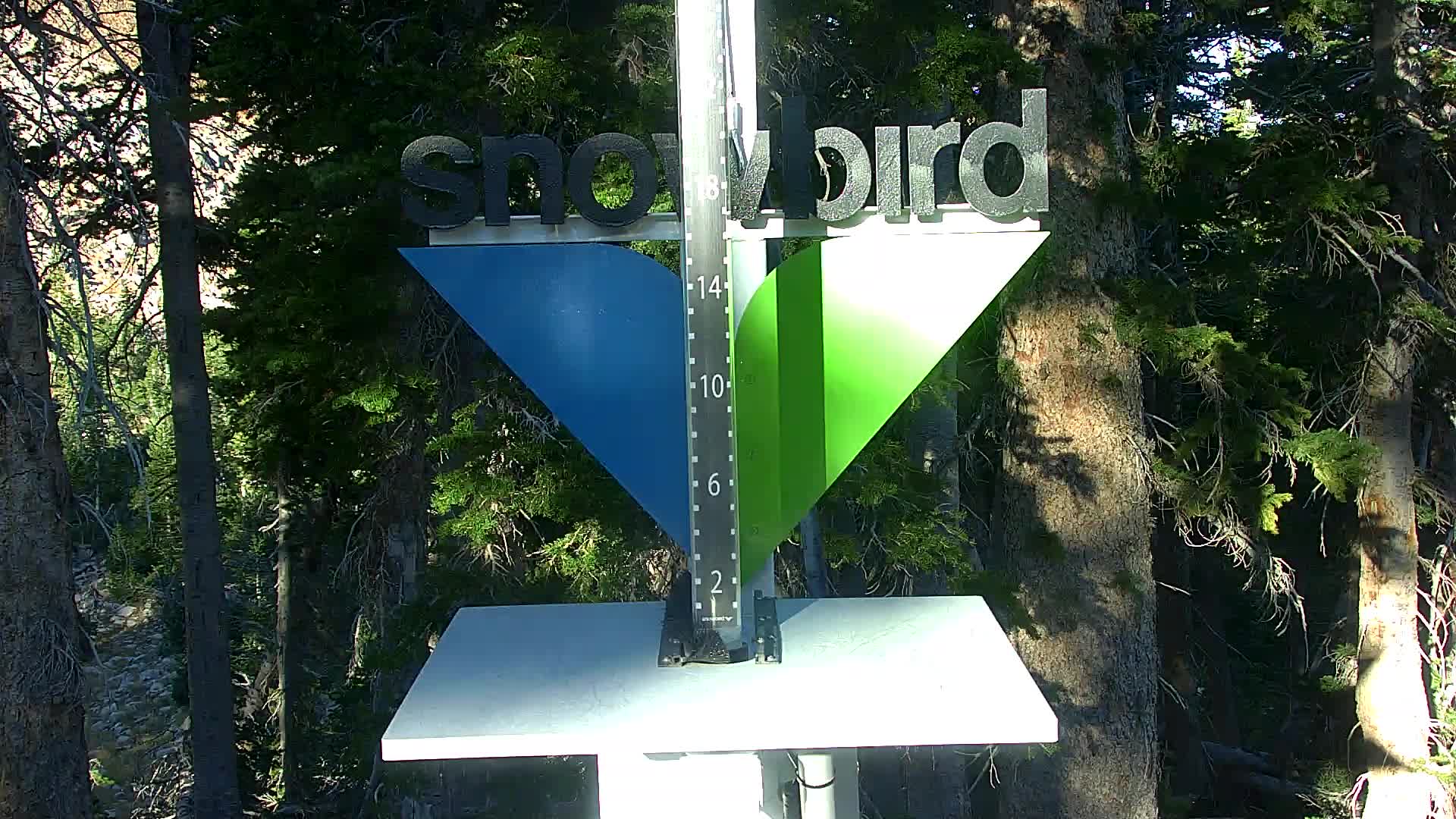 Snowbird snow stake cam