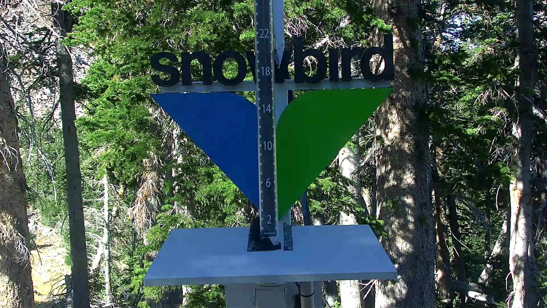 Snowbird snow stake cam