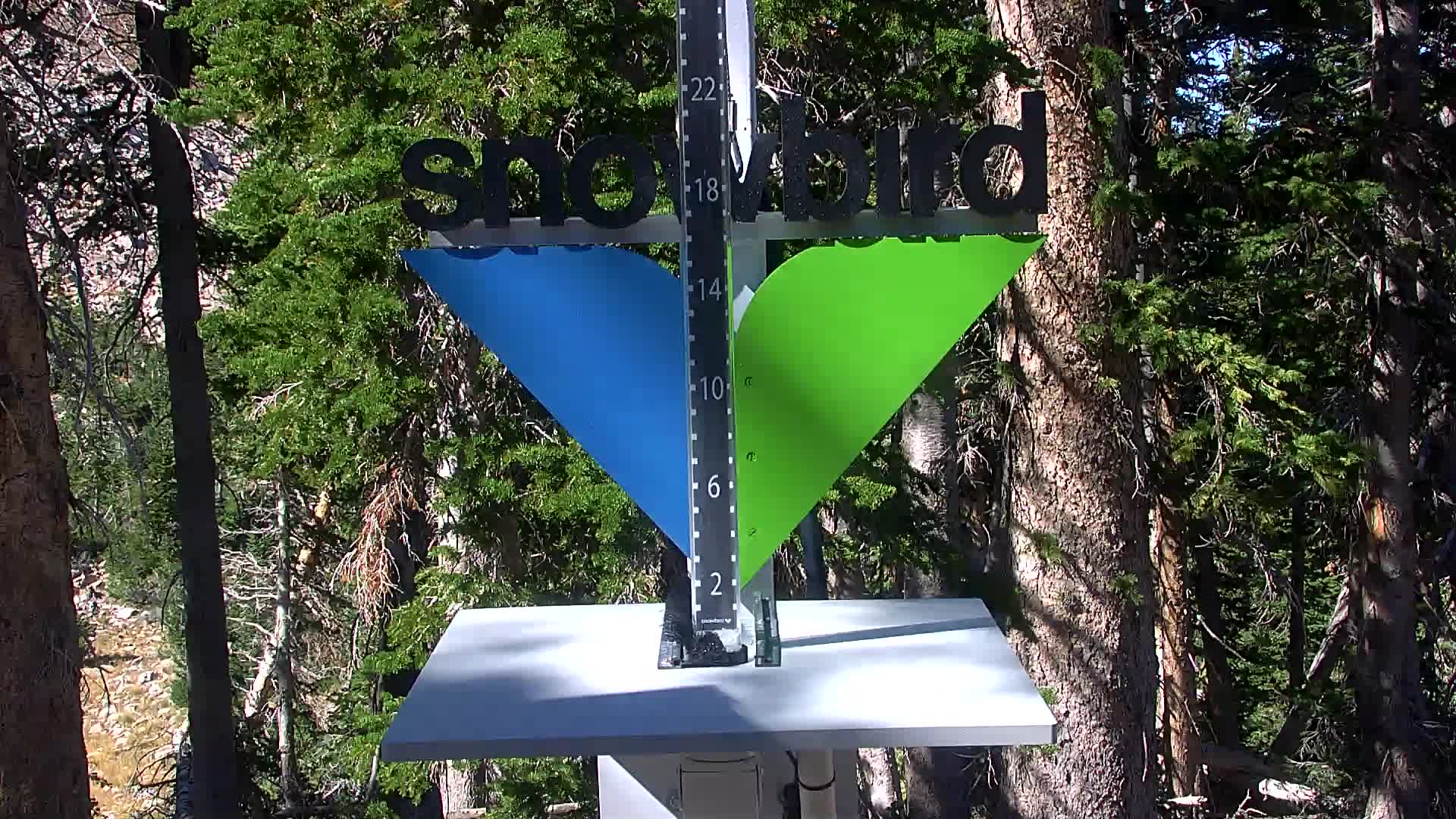 Snowbird snow stake cam