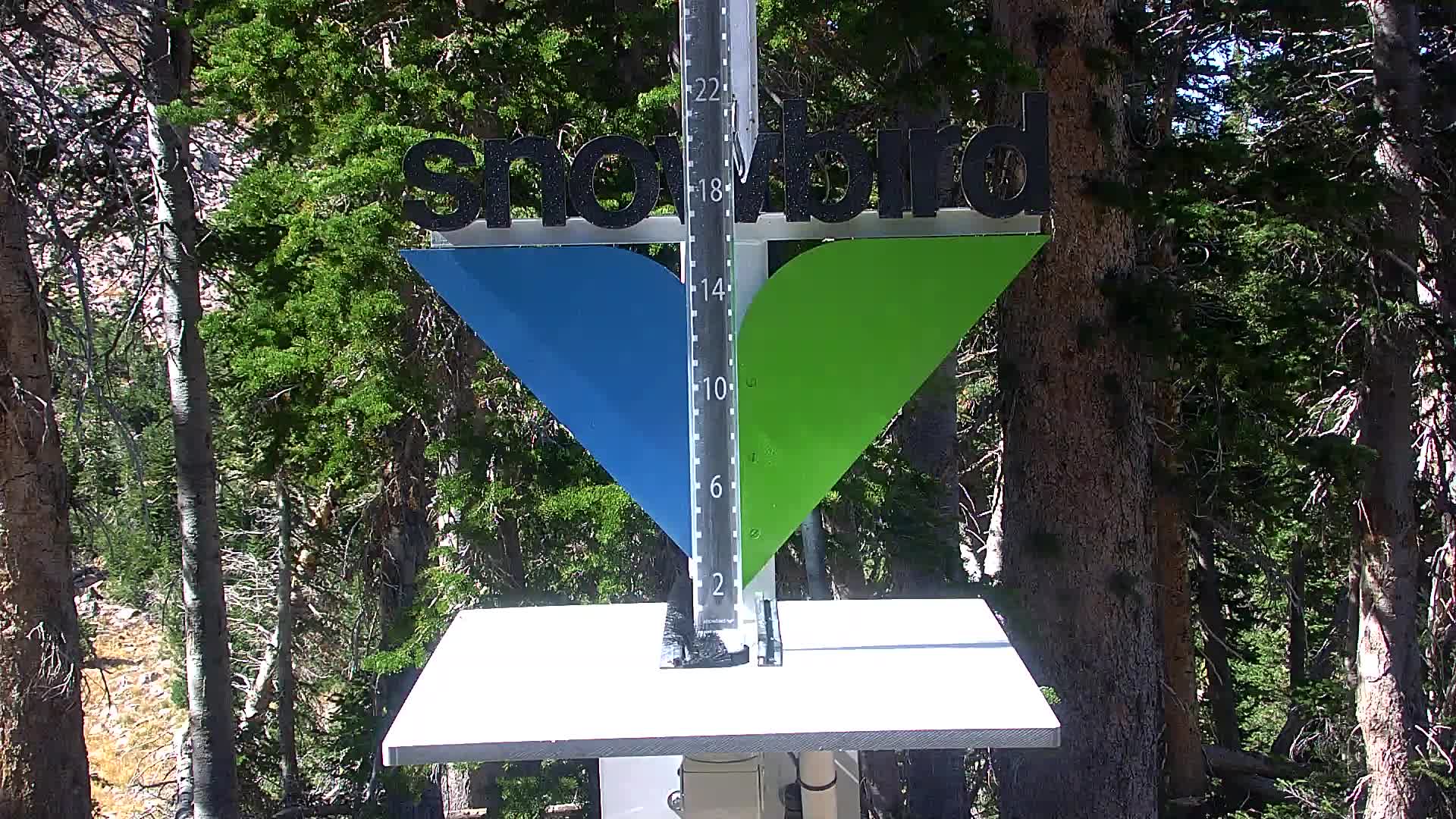 Snowbird snow stake cam