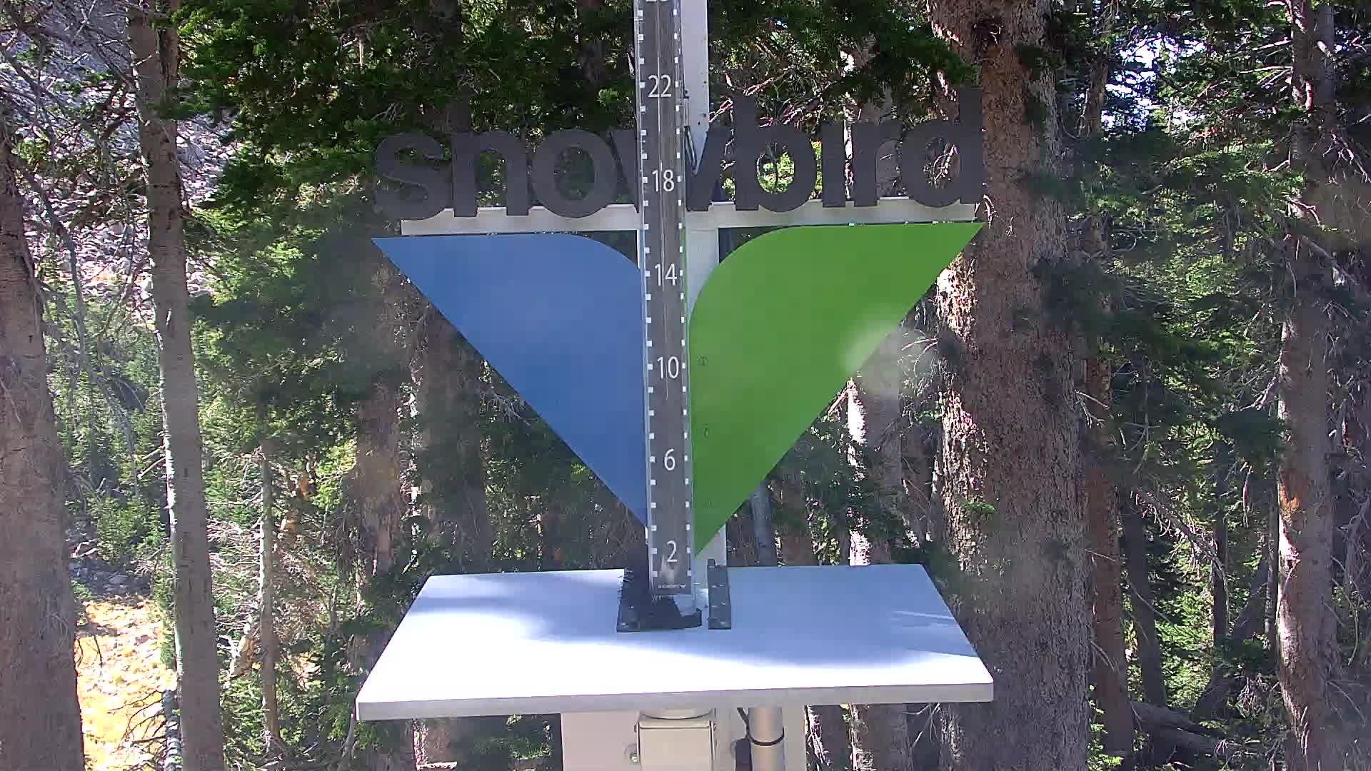 Snowbird snow stake cam