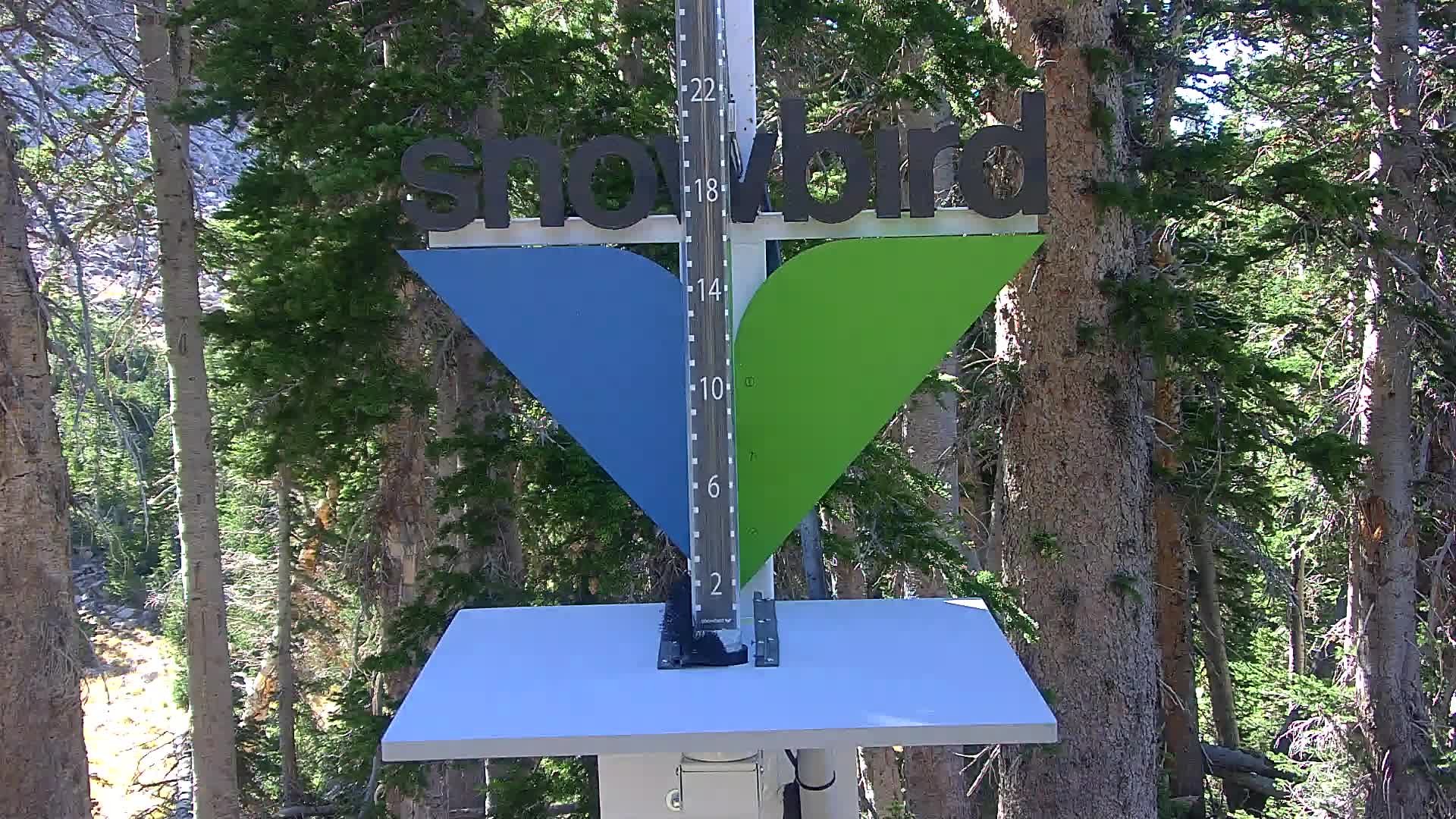 Snowbird snow stake cam