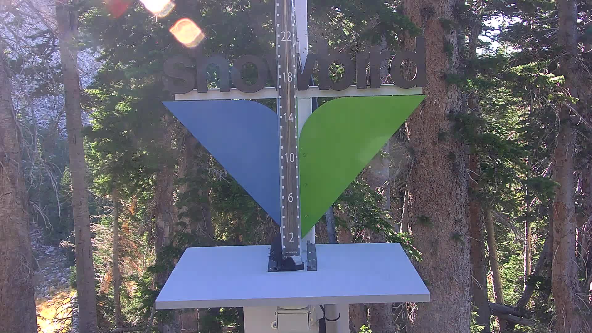 Snowbird snow stake cam