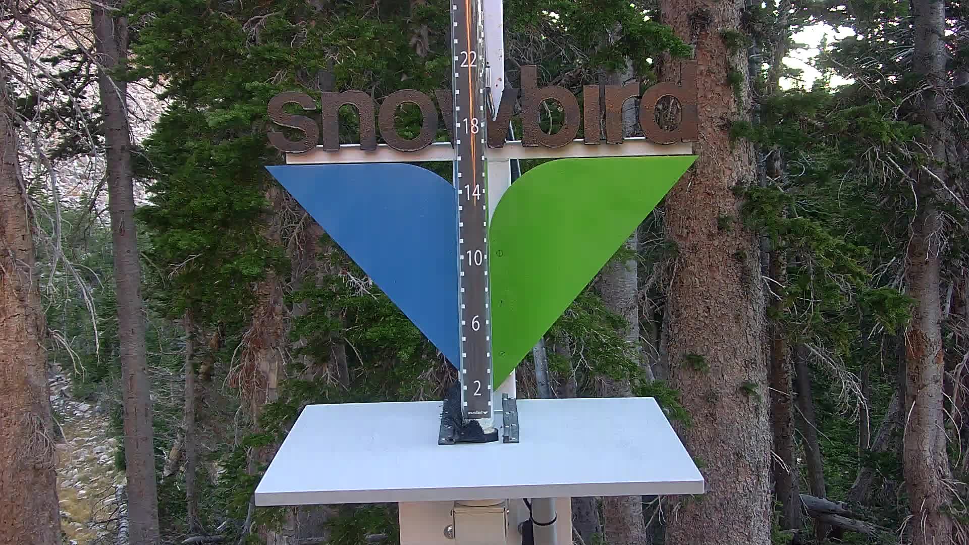 Snowbird snow stake cam