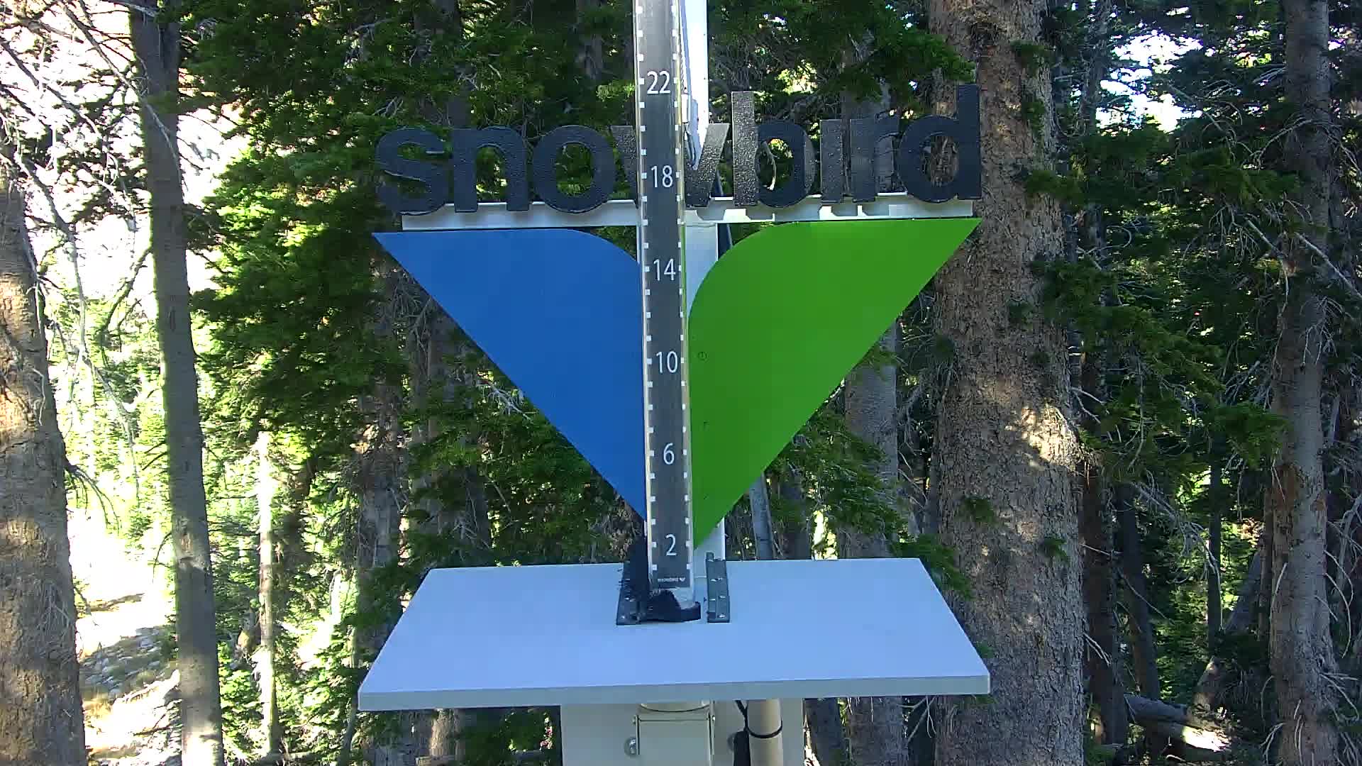 Snowbird snow stake cam