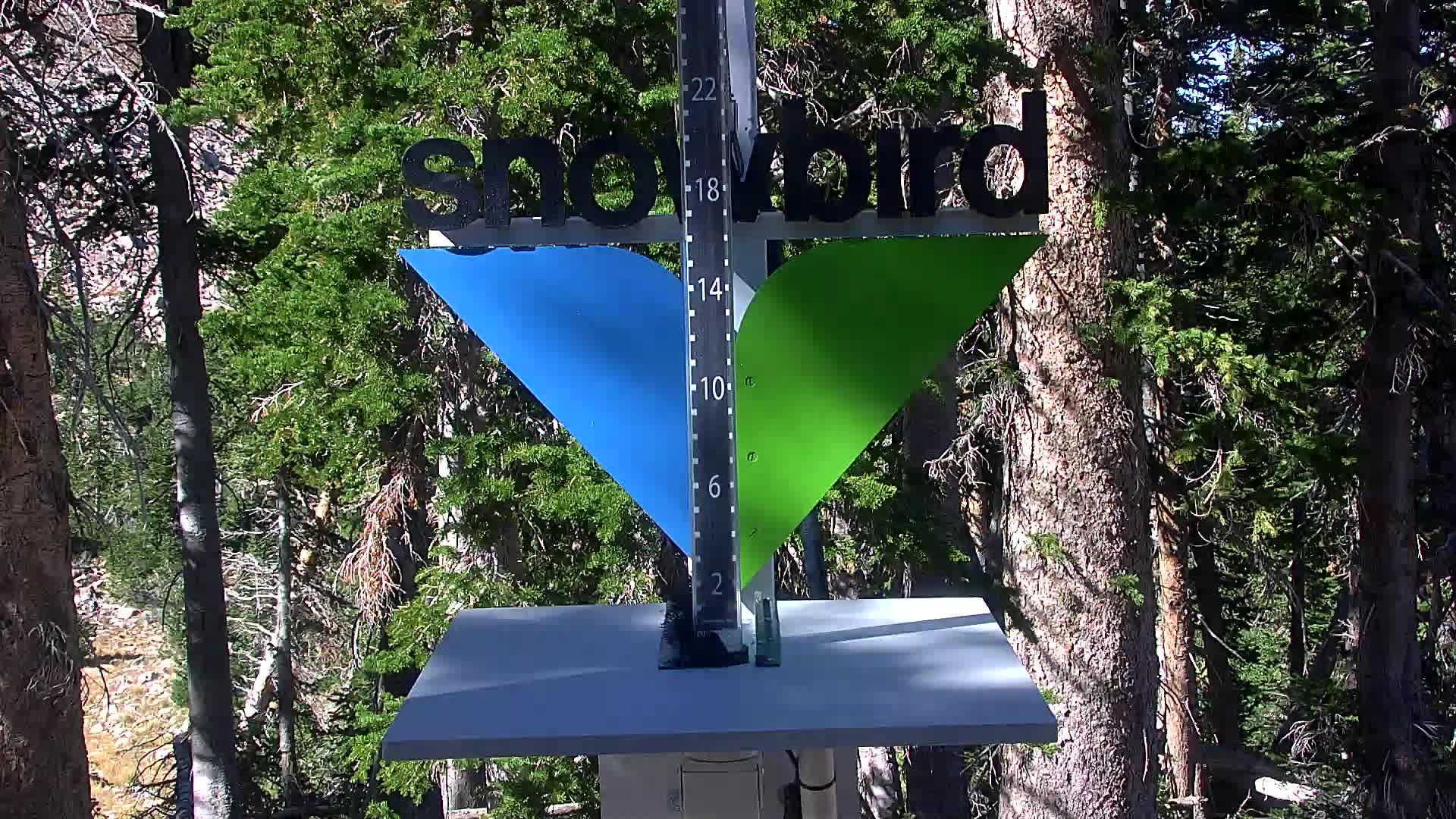 Snowbird snow stake cam