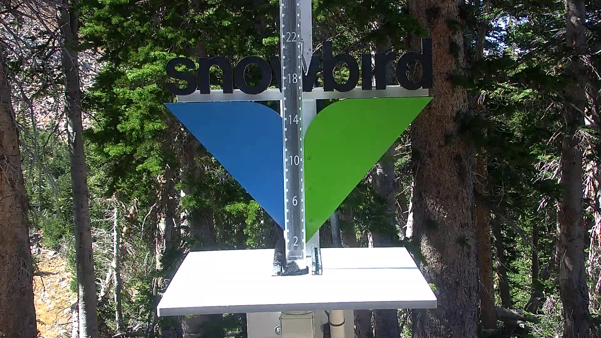 Snowbird snow stake cam