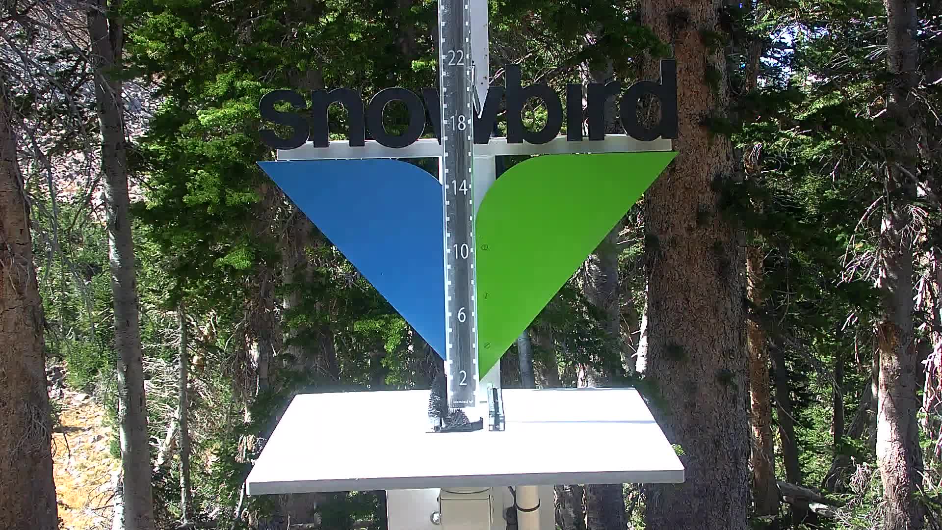 Snowbird snow stake cam