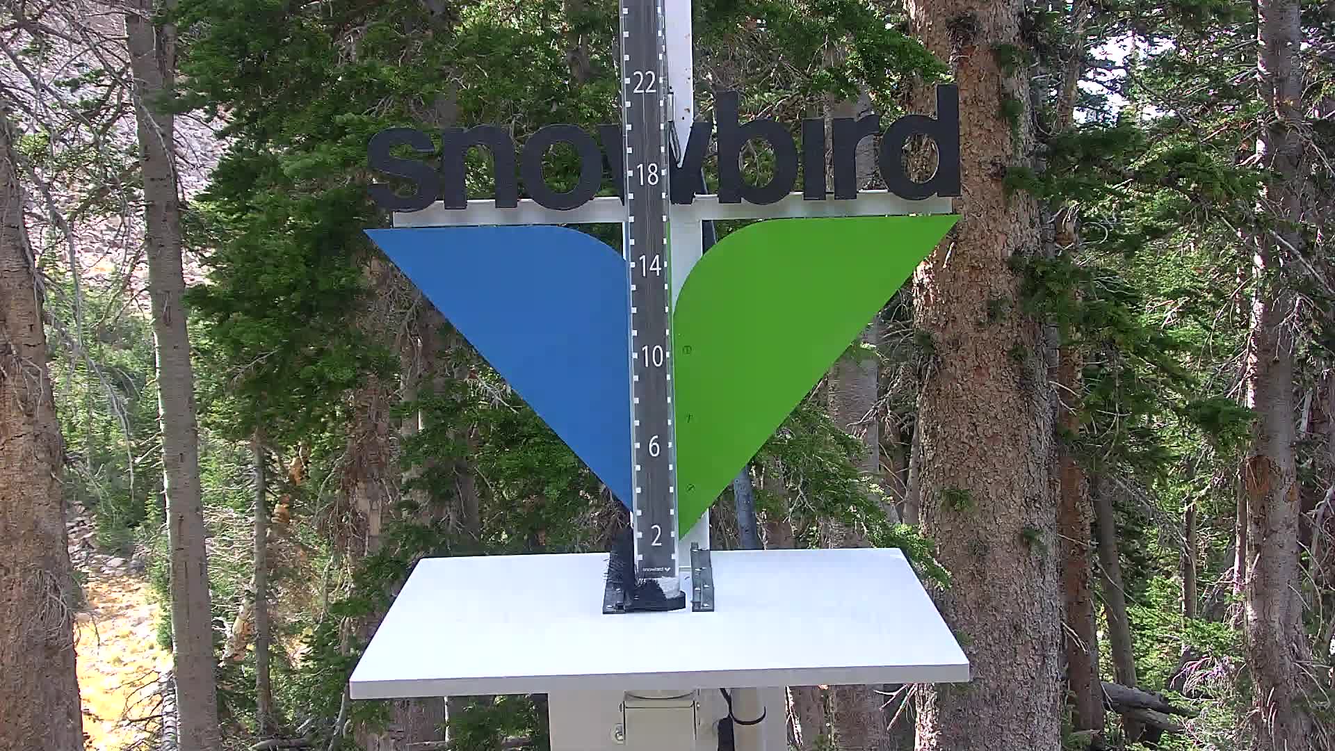 Snowbird snow stake cam