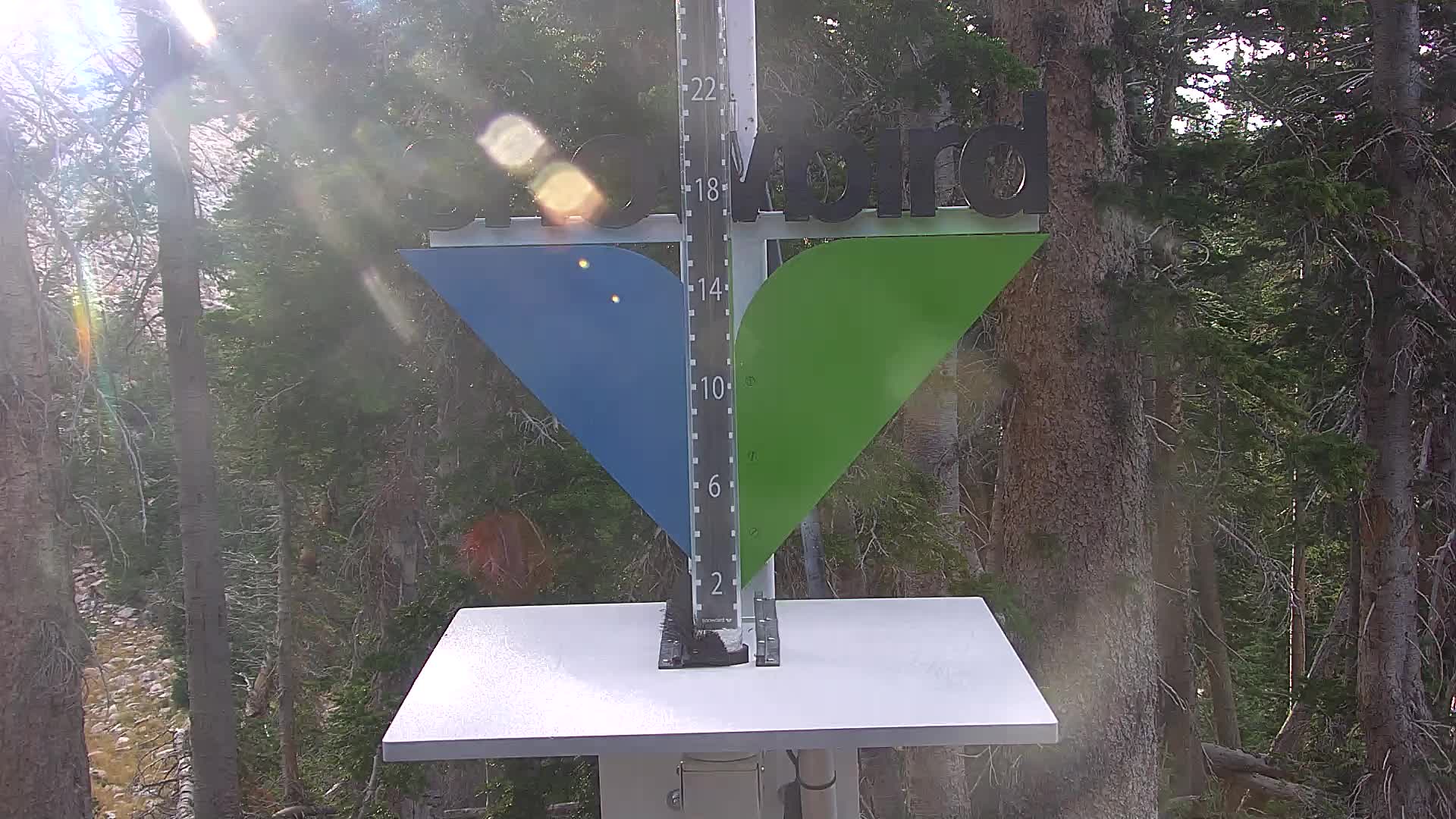 Snowbird snow stake cam