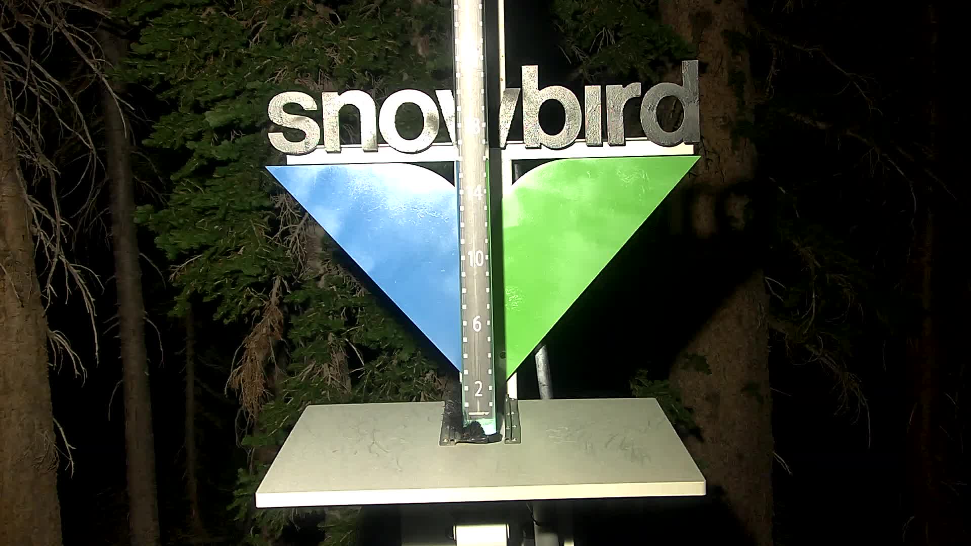 Snowbird snow stake cam