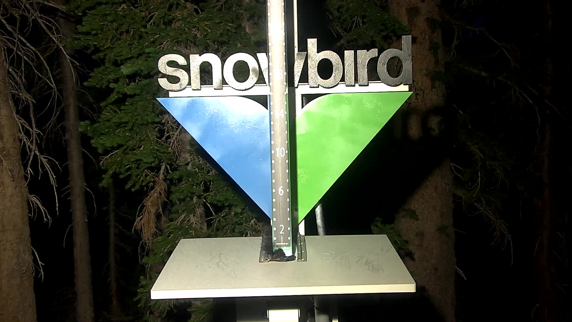 Snowbird snow stake cam