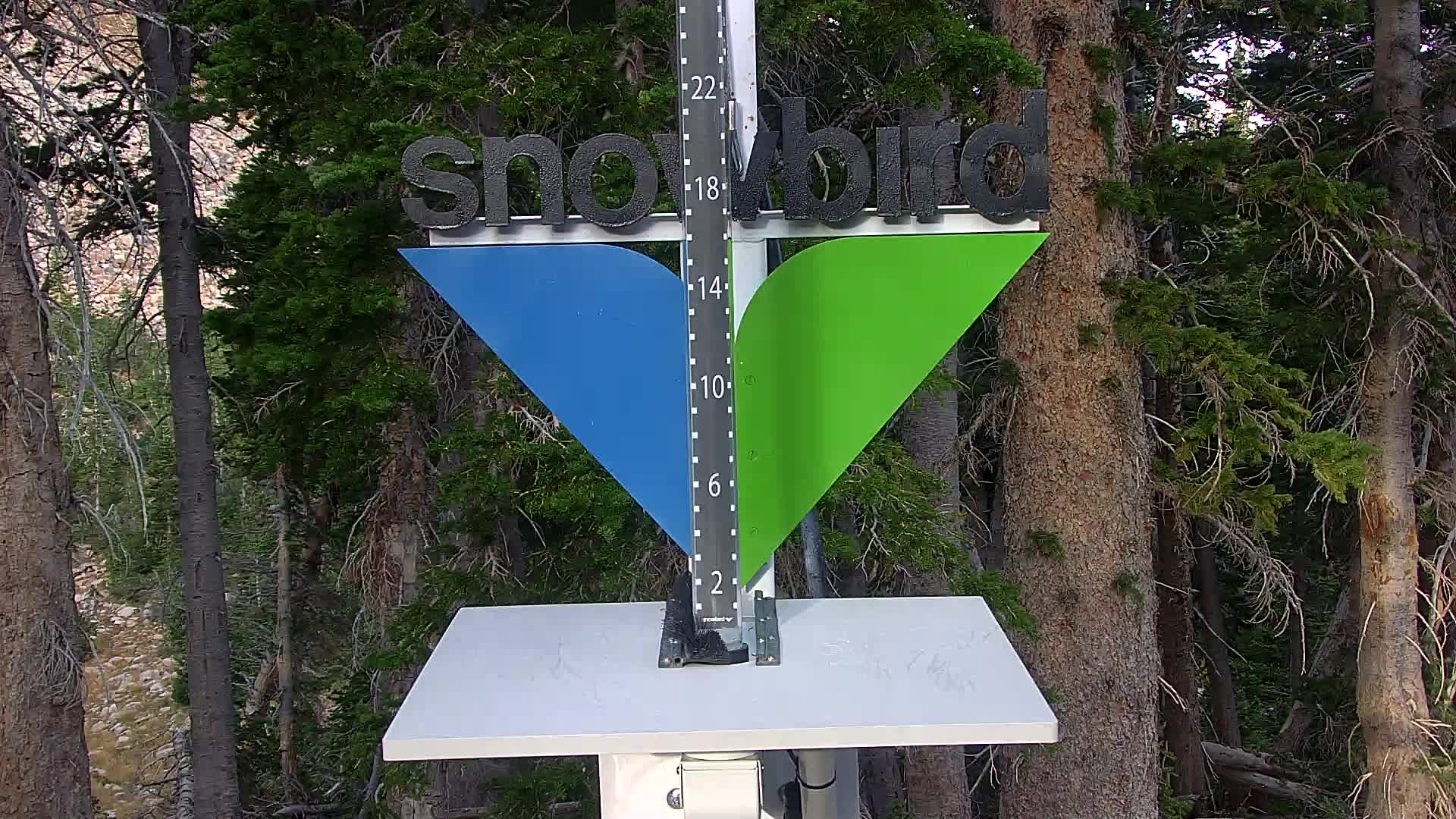 Snowbird snow stake cam