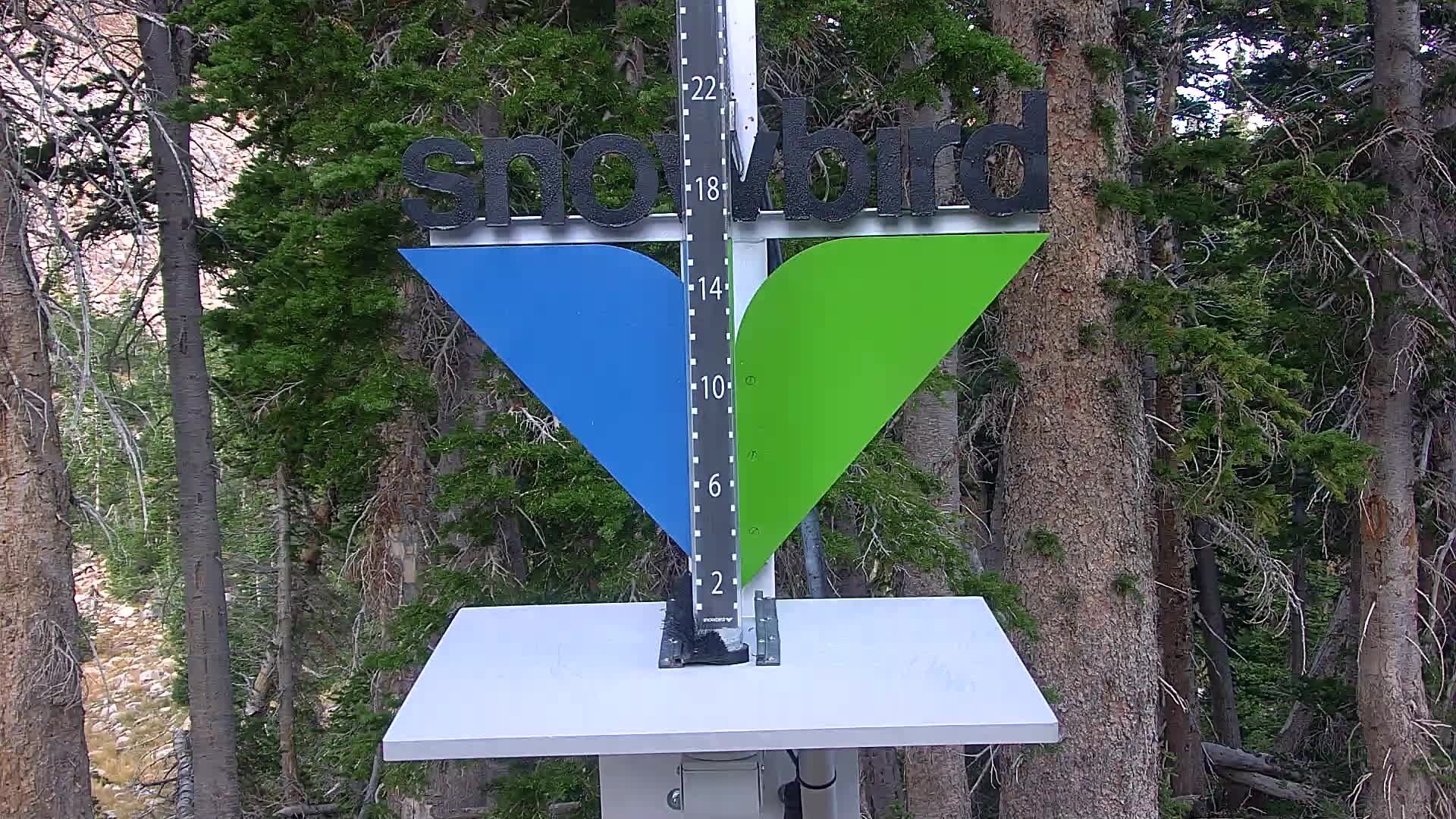 Snowbird snow stake cam