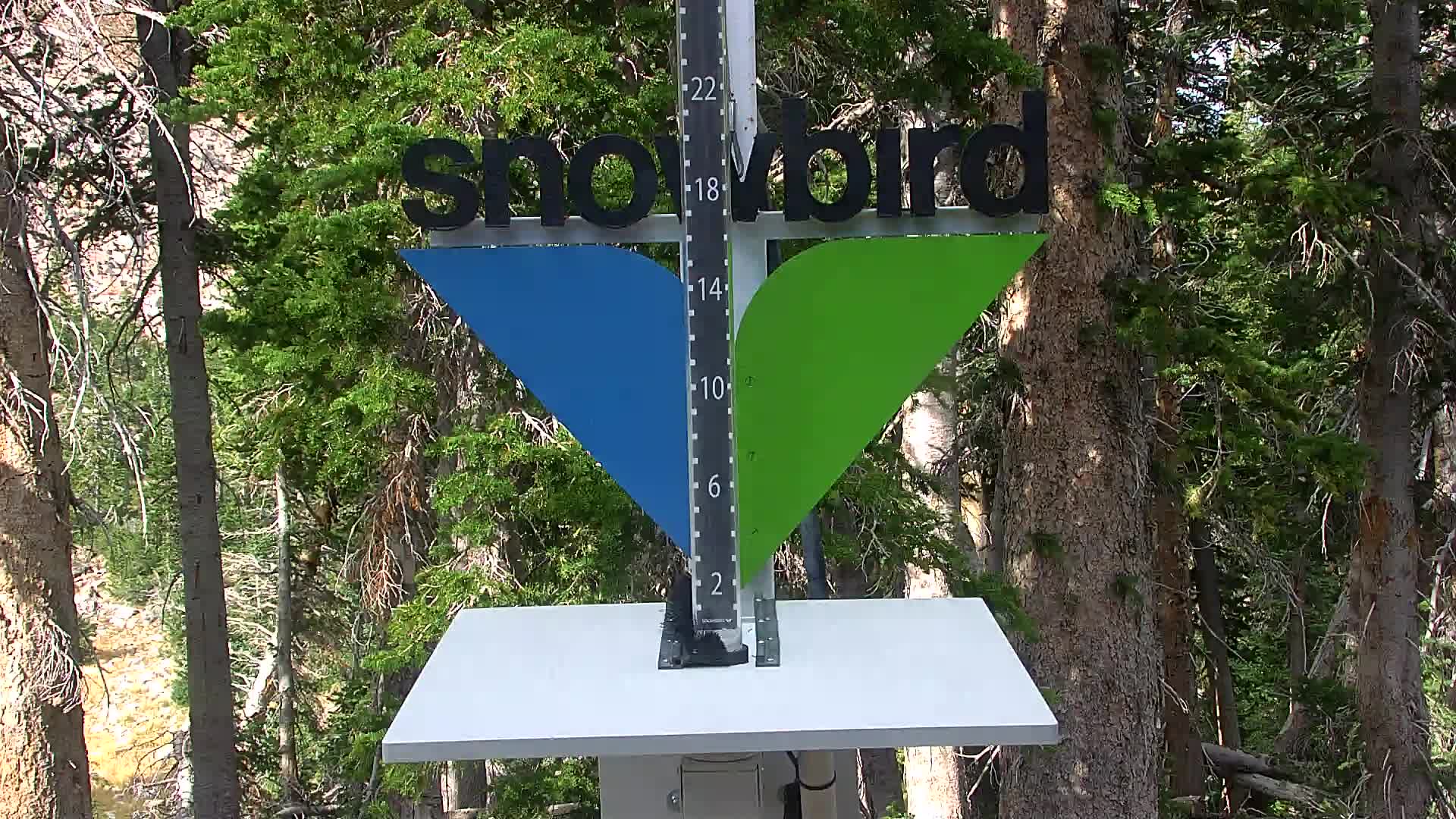 Snowbird snow stake cam