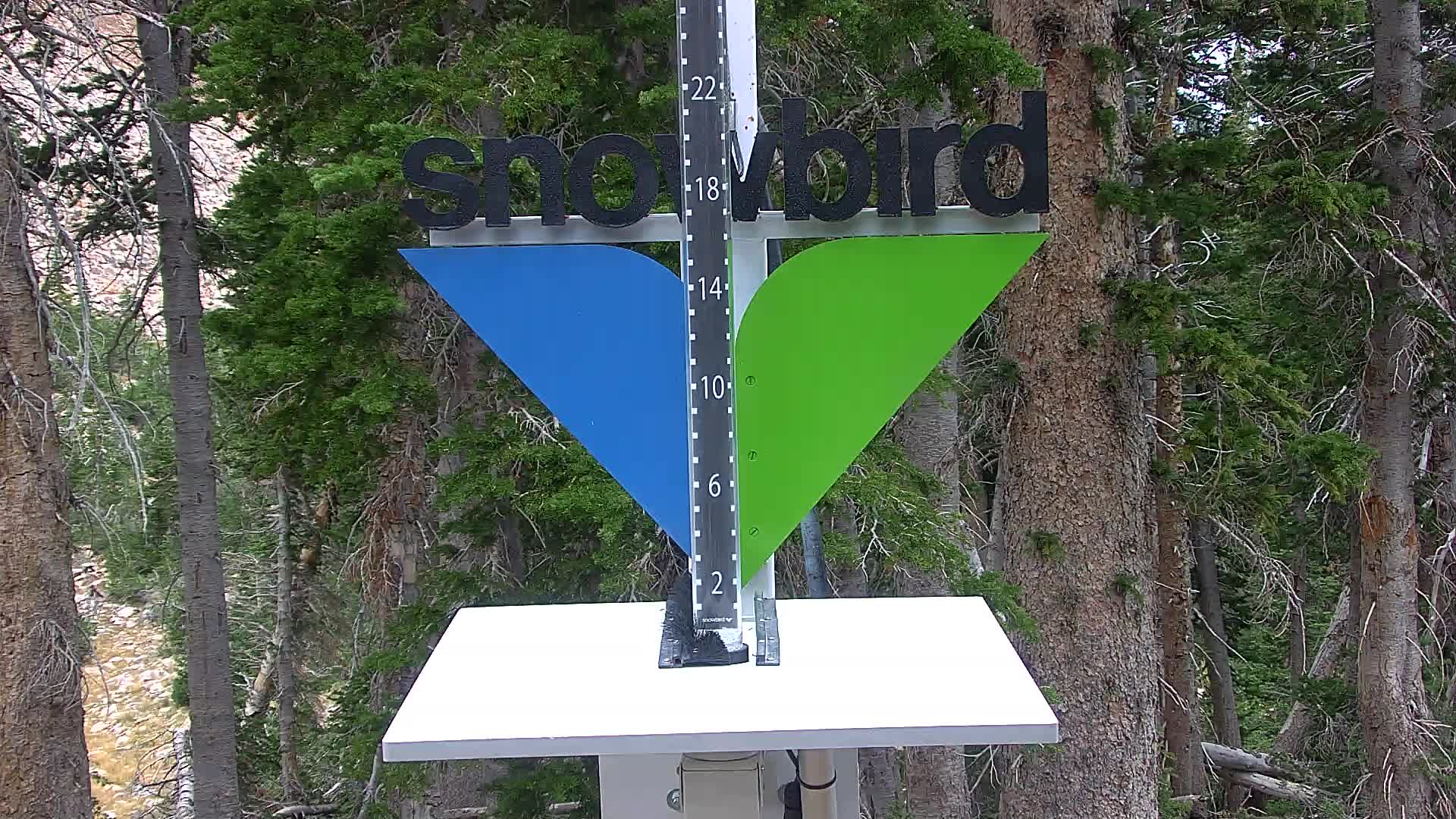 Snowbird snow stake cam
