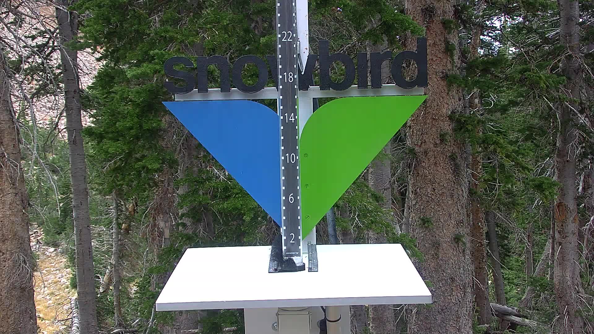 Snowbird snow stake cam