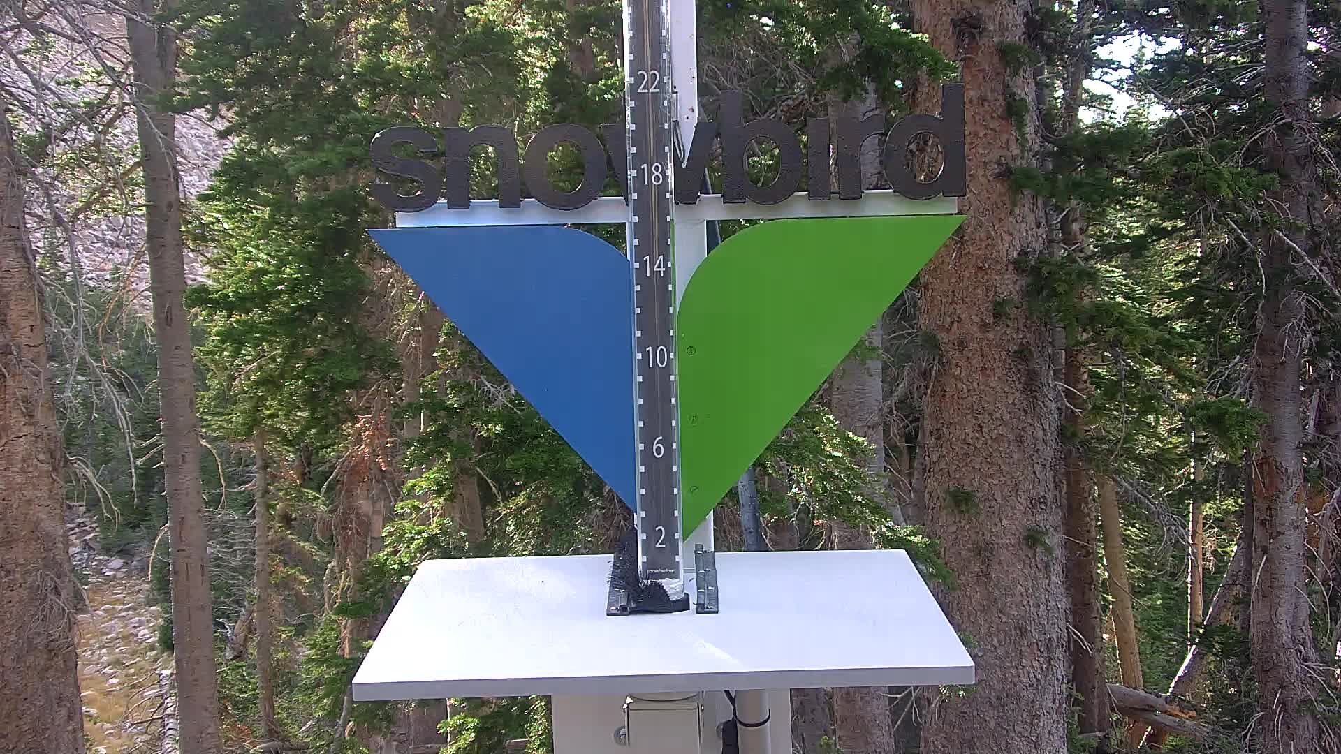 Snowbird snow stake cam