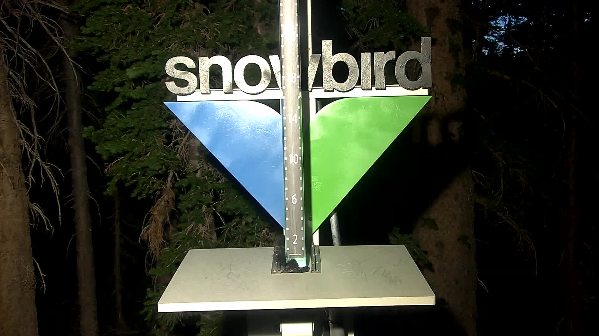 Snowbird snow stake cam
