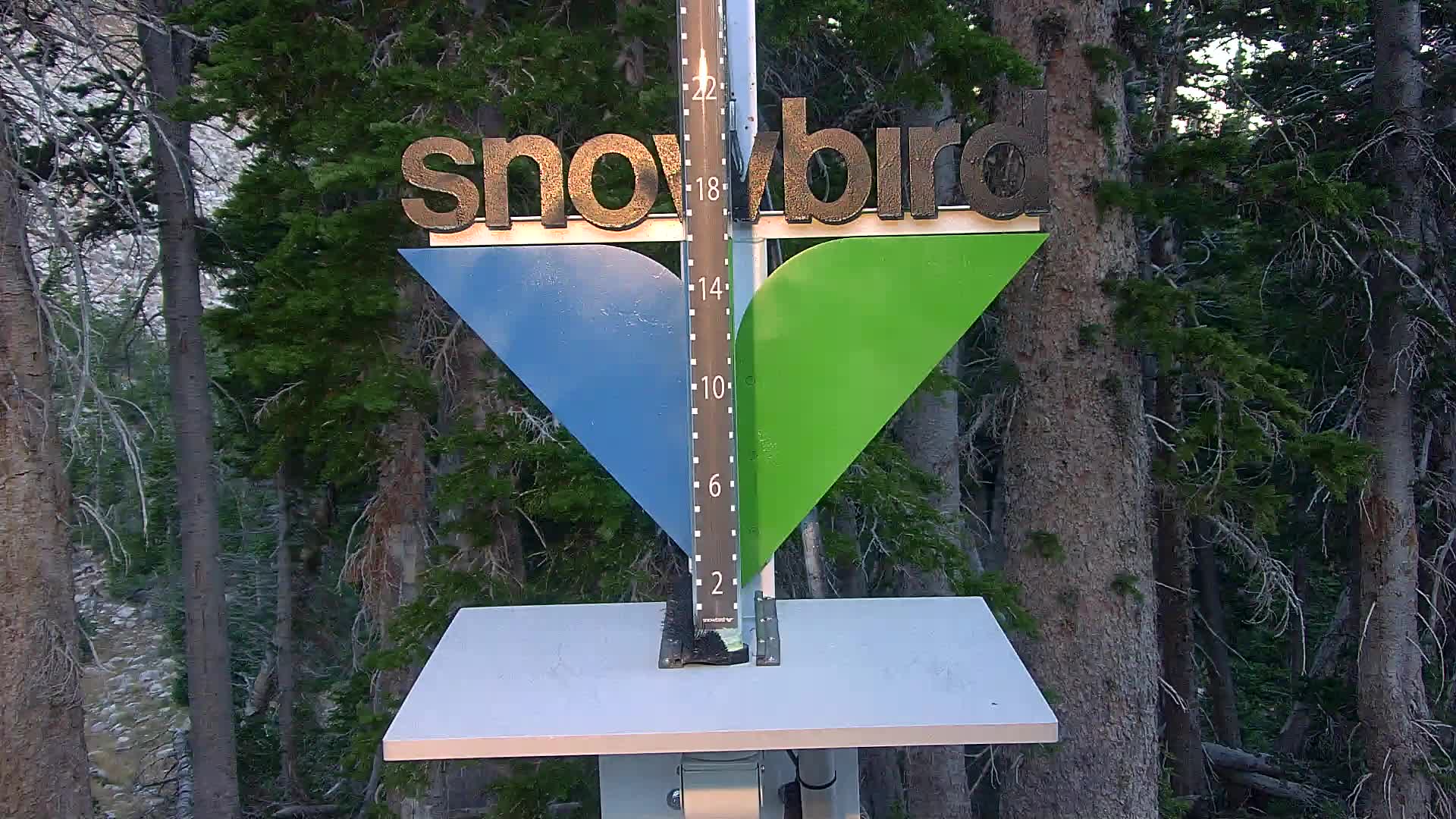 Snowbird snow stake cam