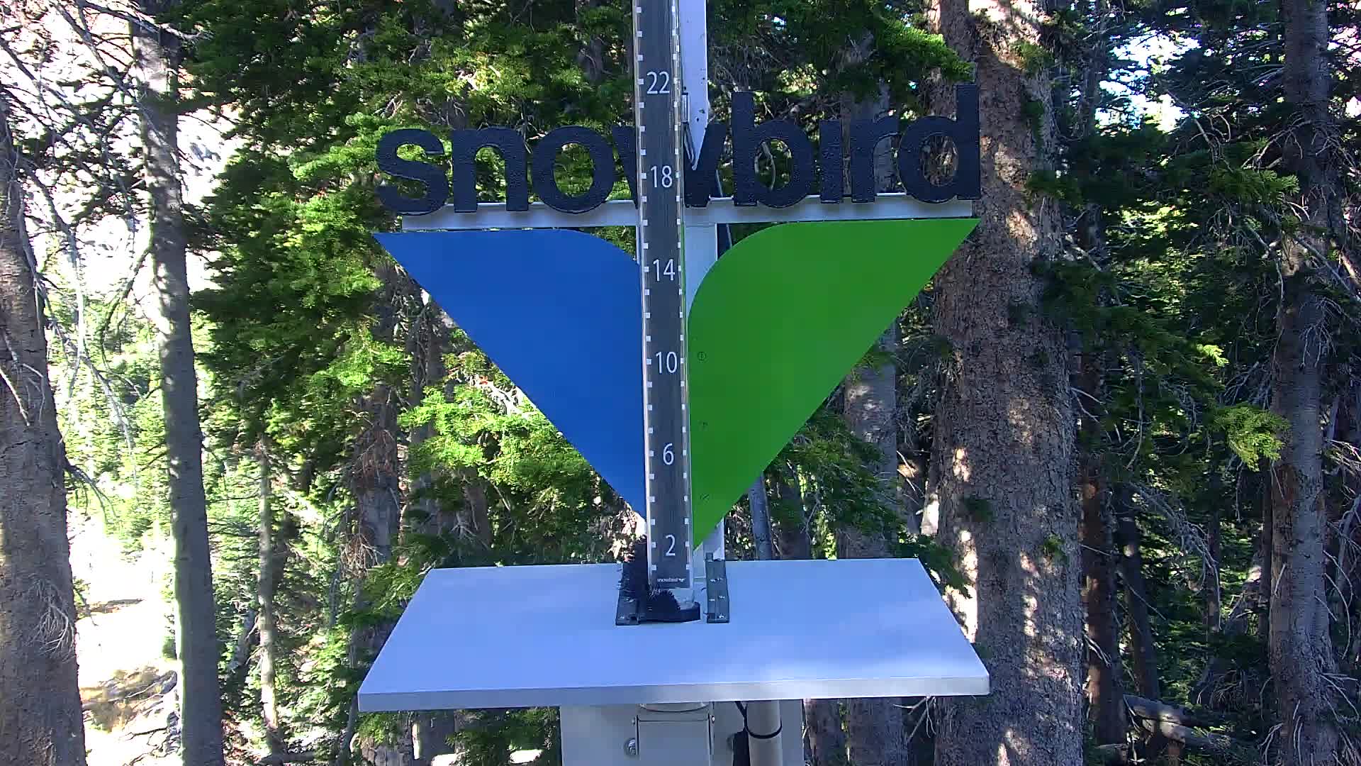 Snowbird snow stake cam