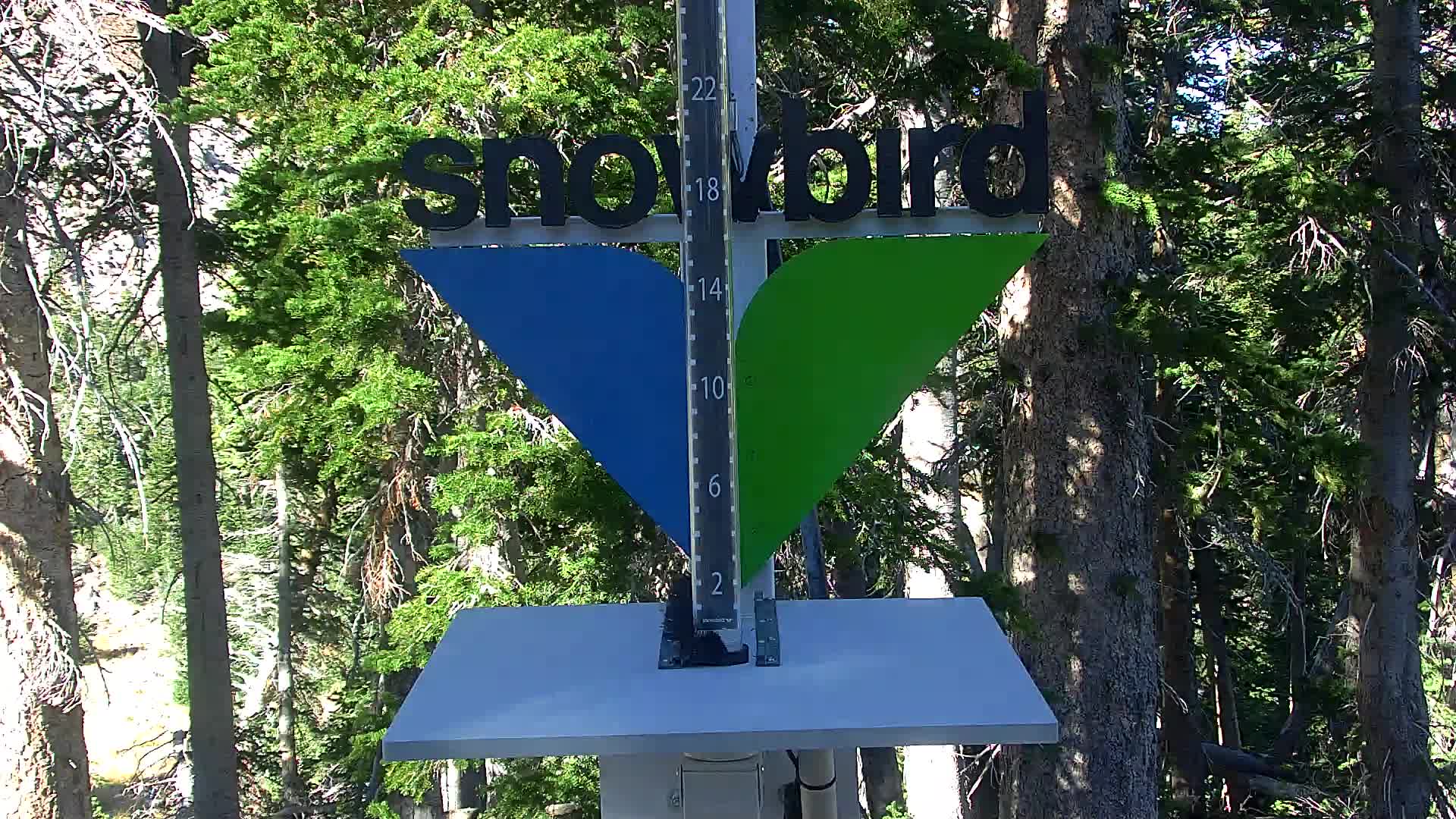 Snowbird snow stake cam