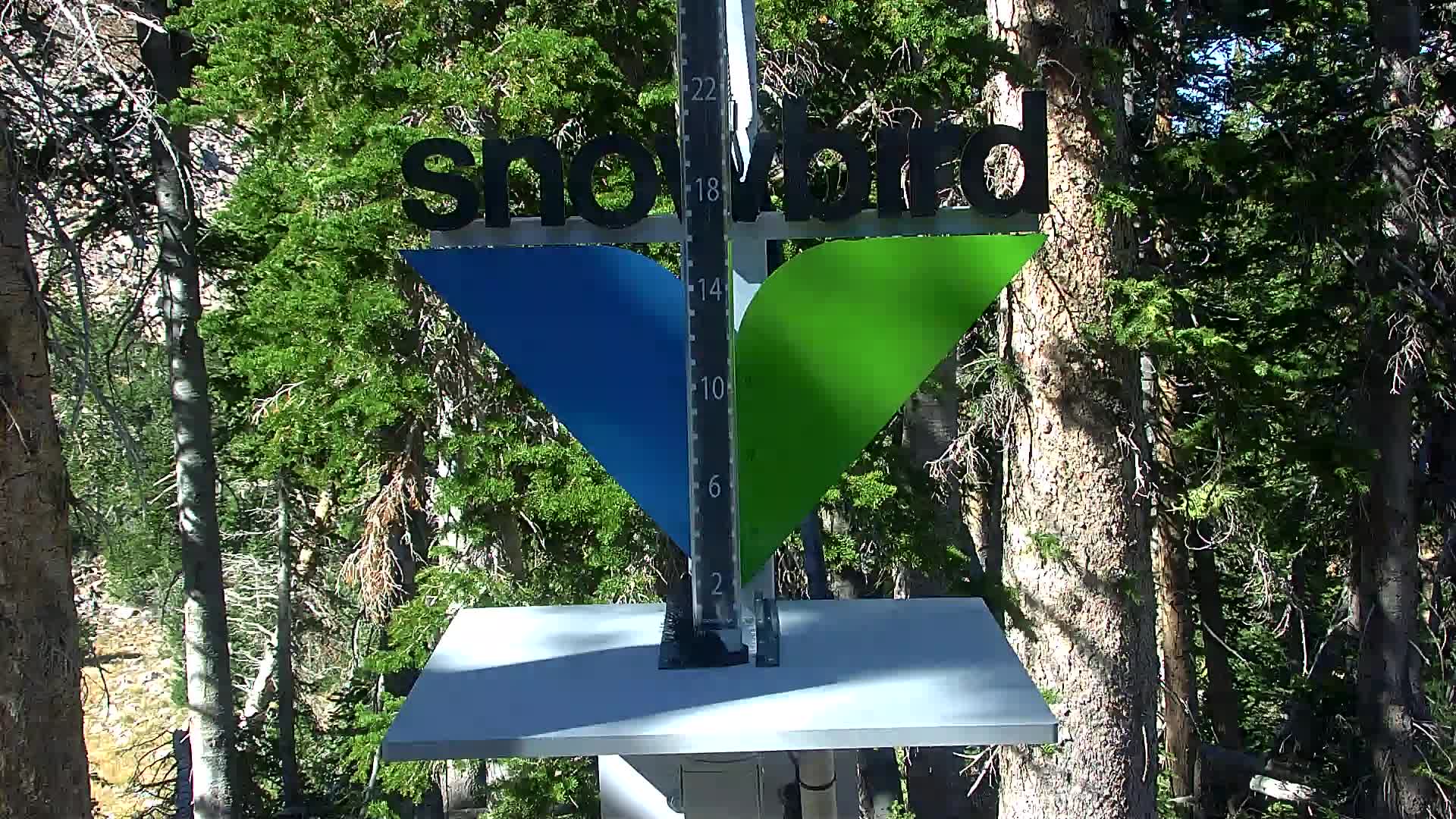 Snowbird snow stake cam