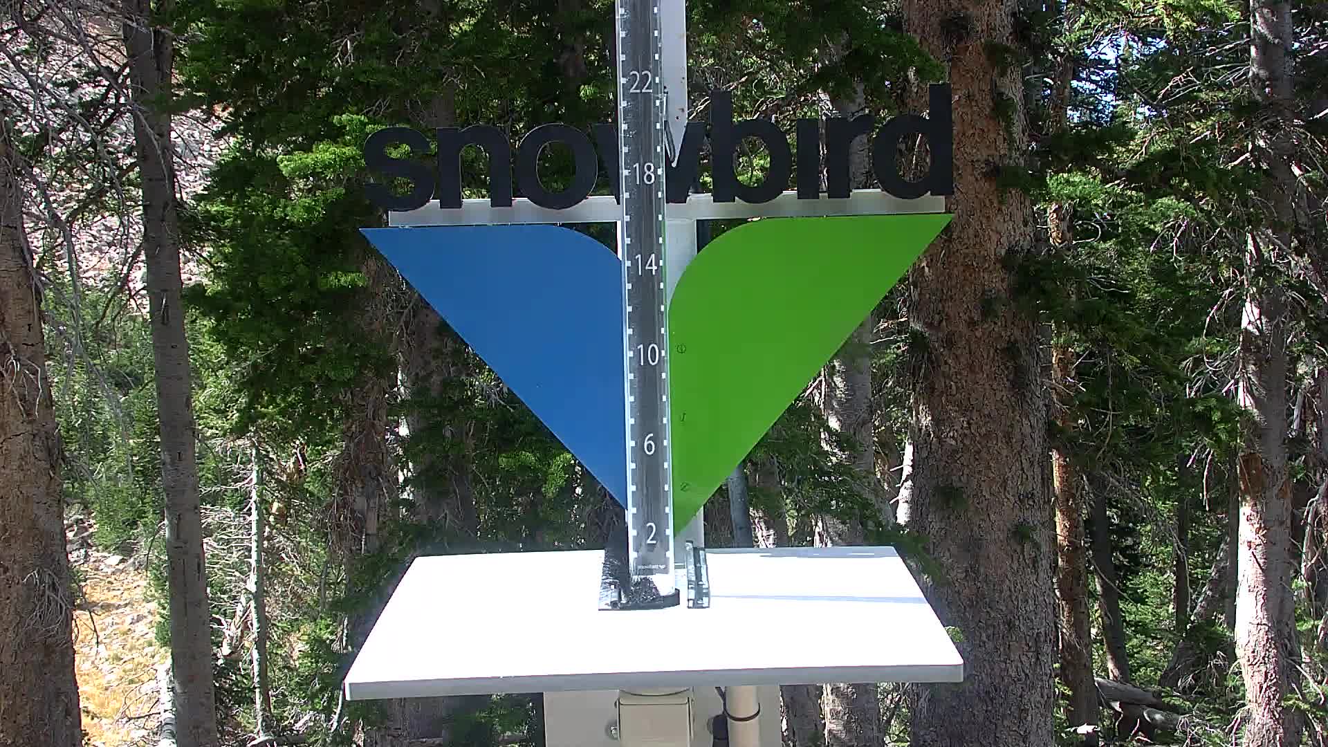 Snowbird snow stake cam