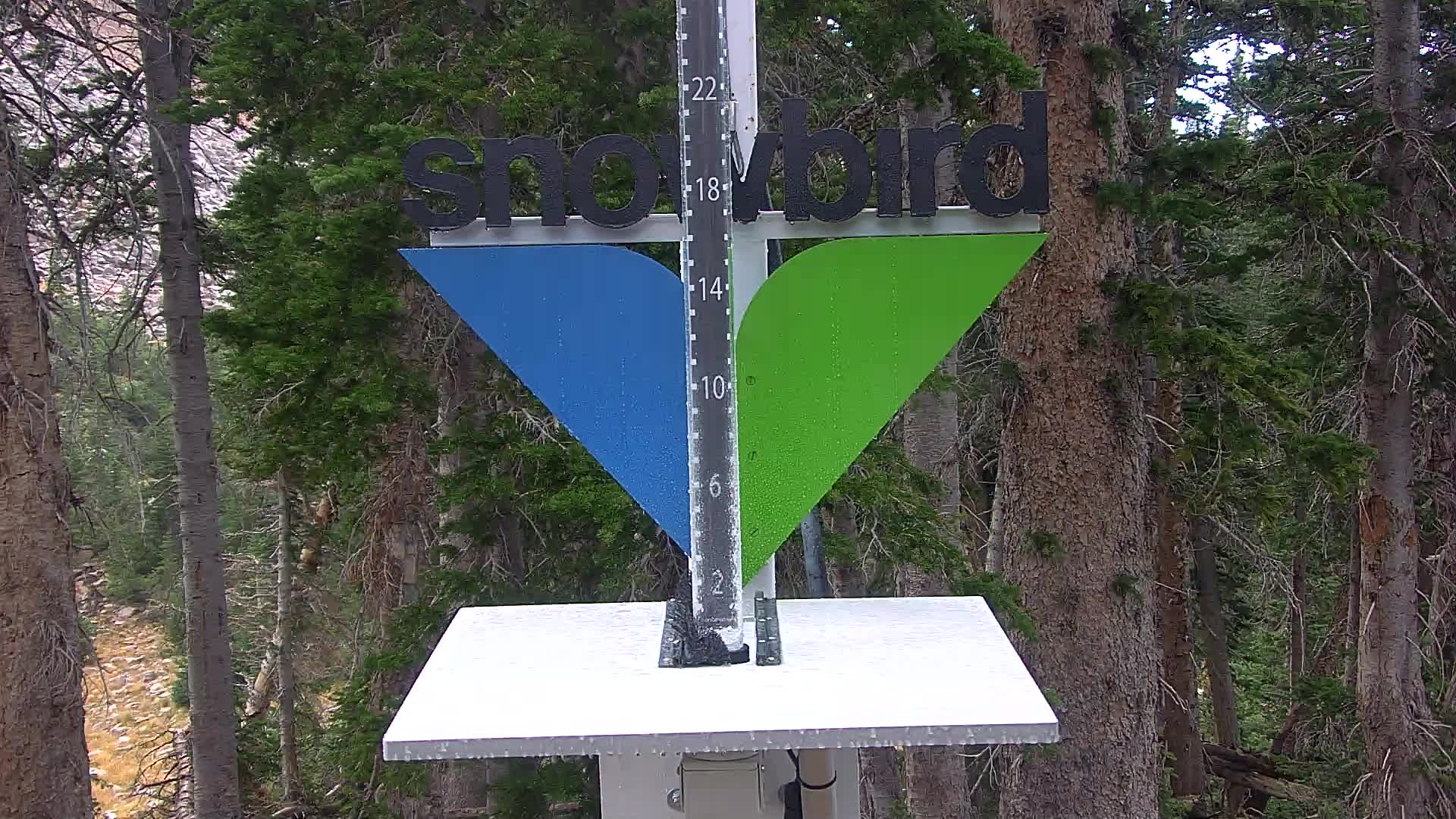 Snowbird snow stake cam