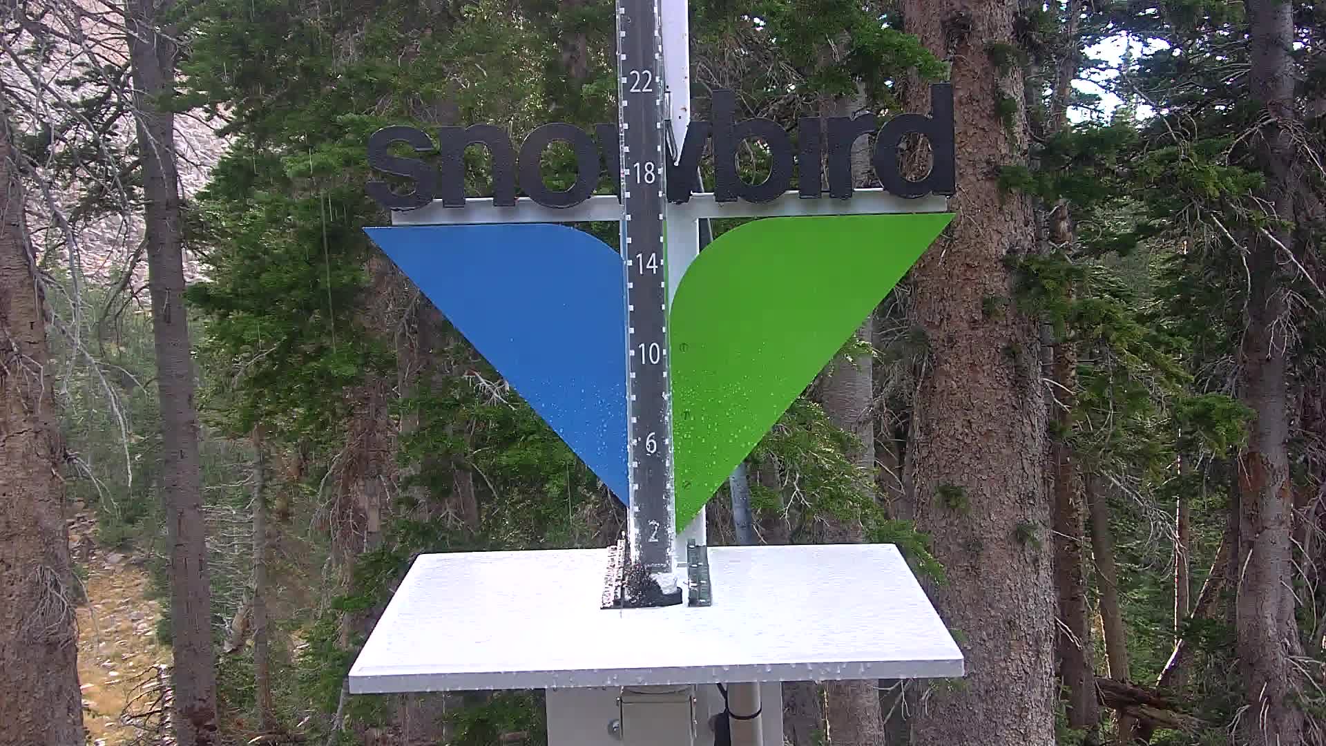 Snowbird snow stake cam