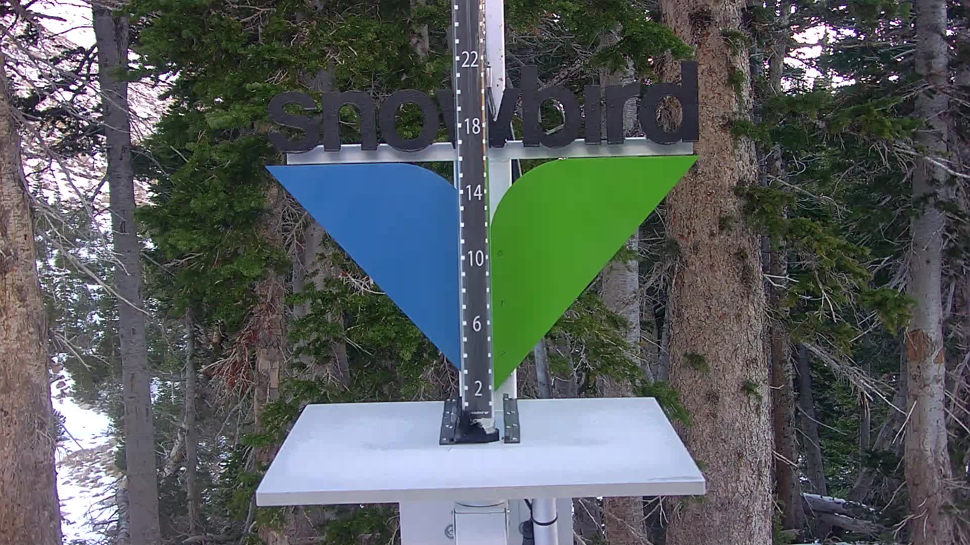 Snowbird Snowstake Cam