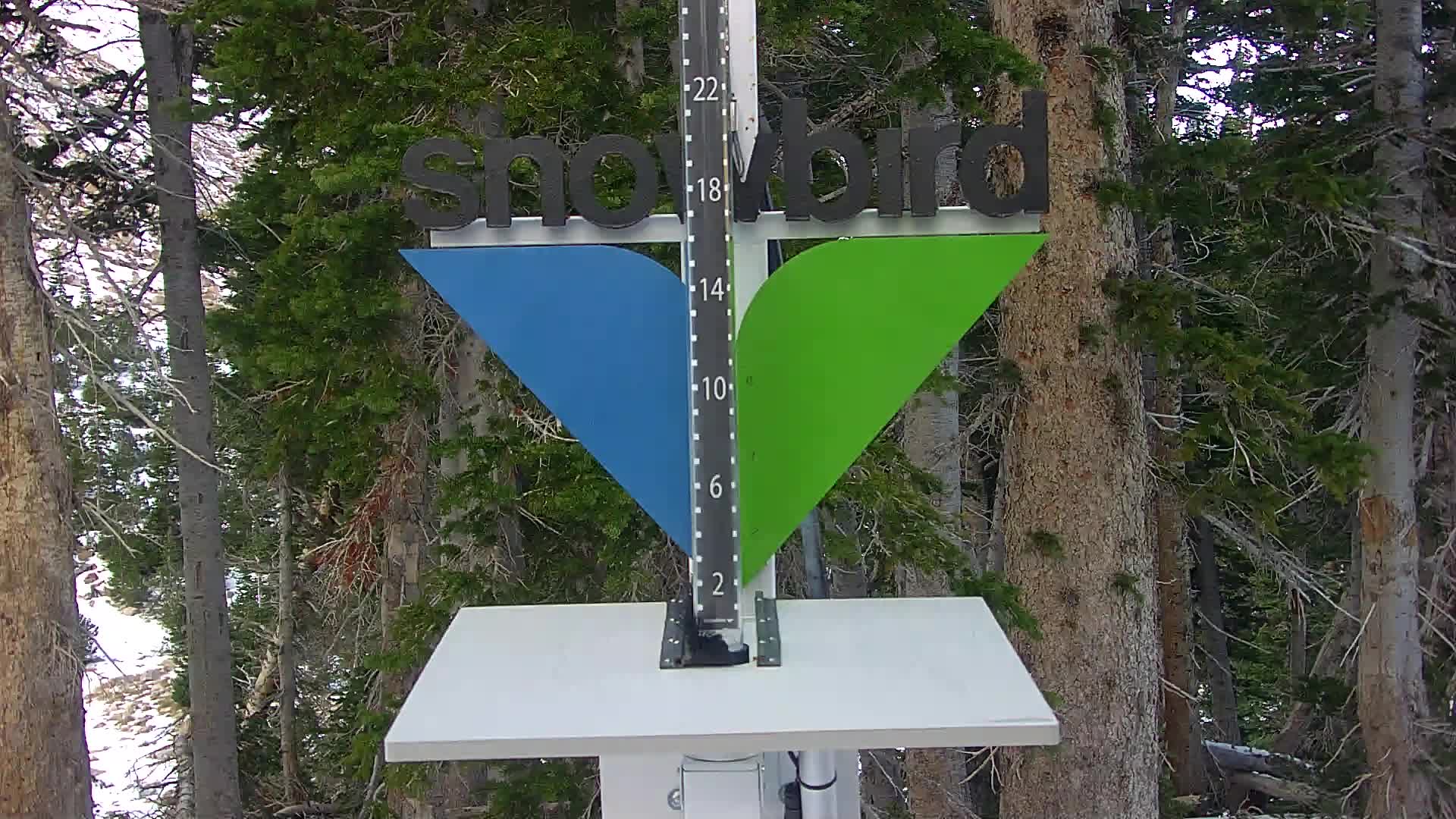 Snowbird Snowstake Cam