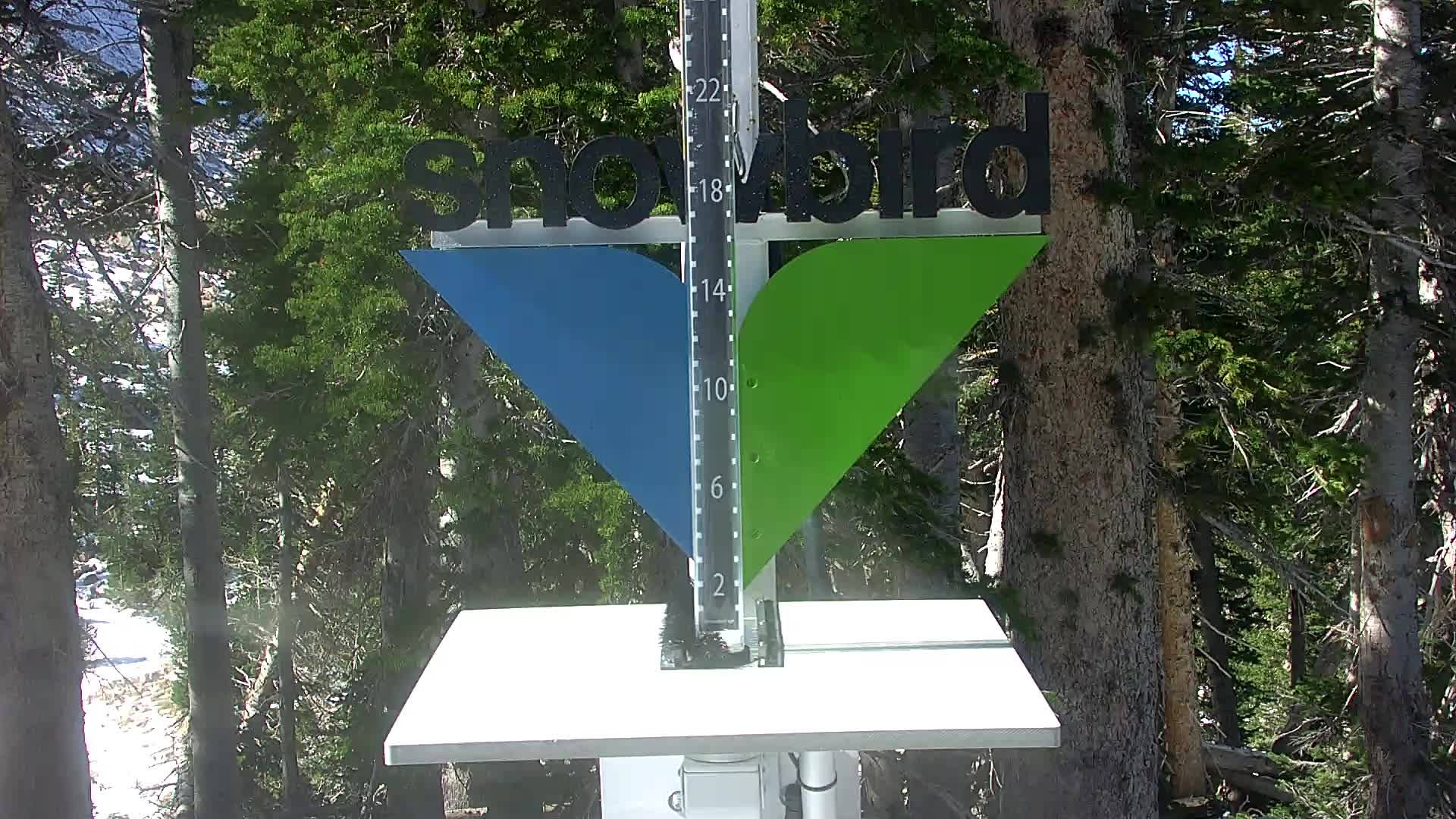 Snowbird Snowstake Cam
