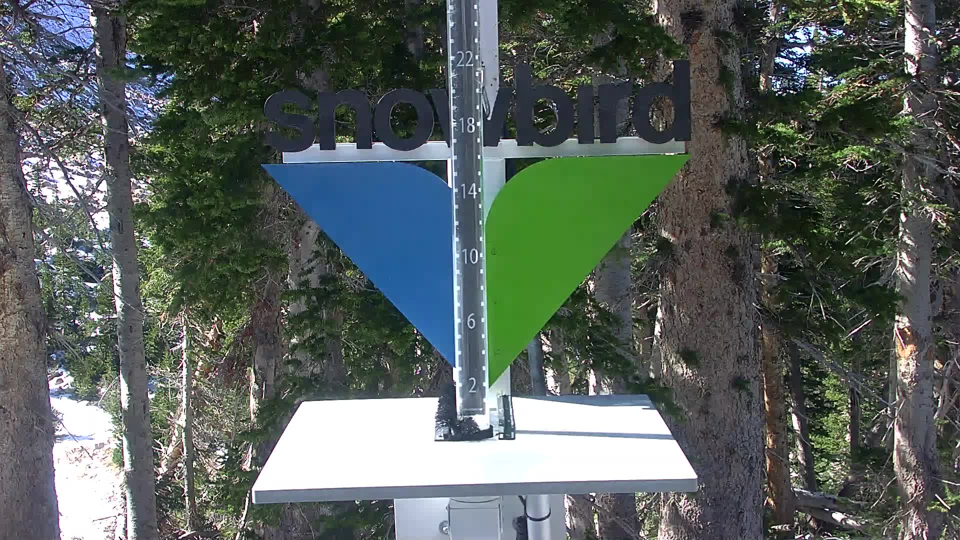Snowbird Snowstake Cam