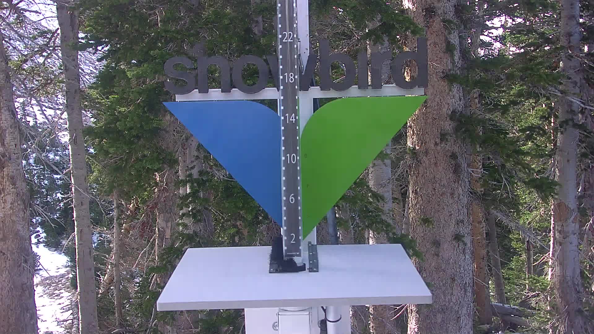Snowbird Snowstake Cam