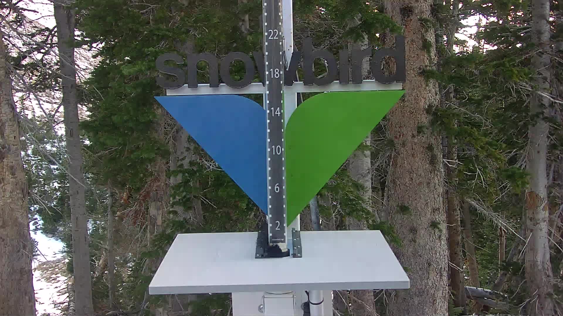 Snowbird Snowstake Cam